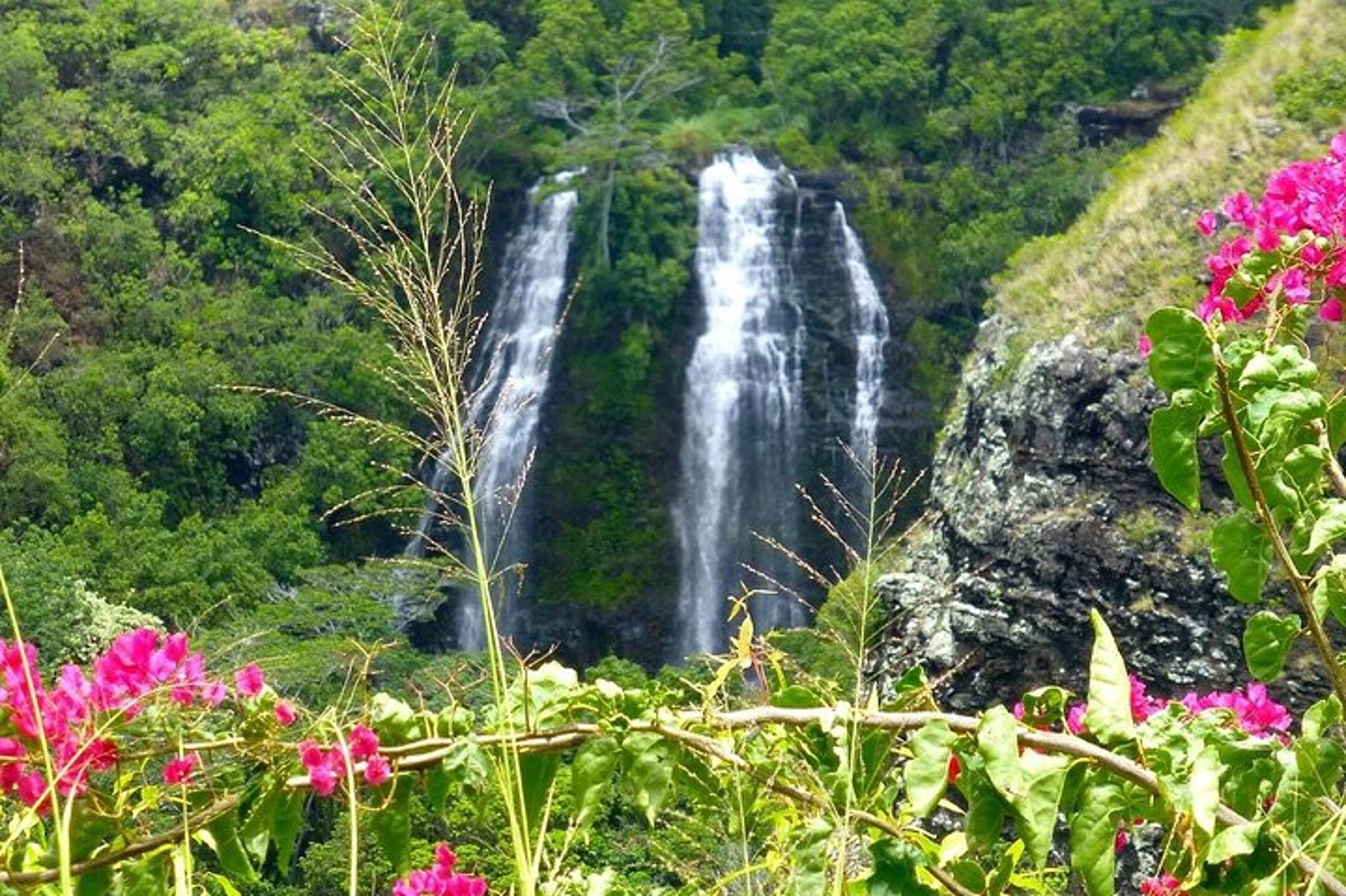 Kauai Eastside Waterfalls and Local Grinds Tour - Image 4