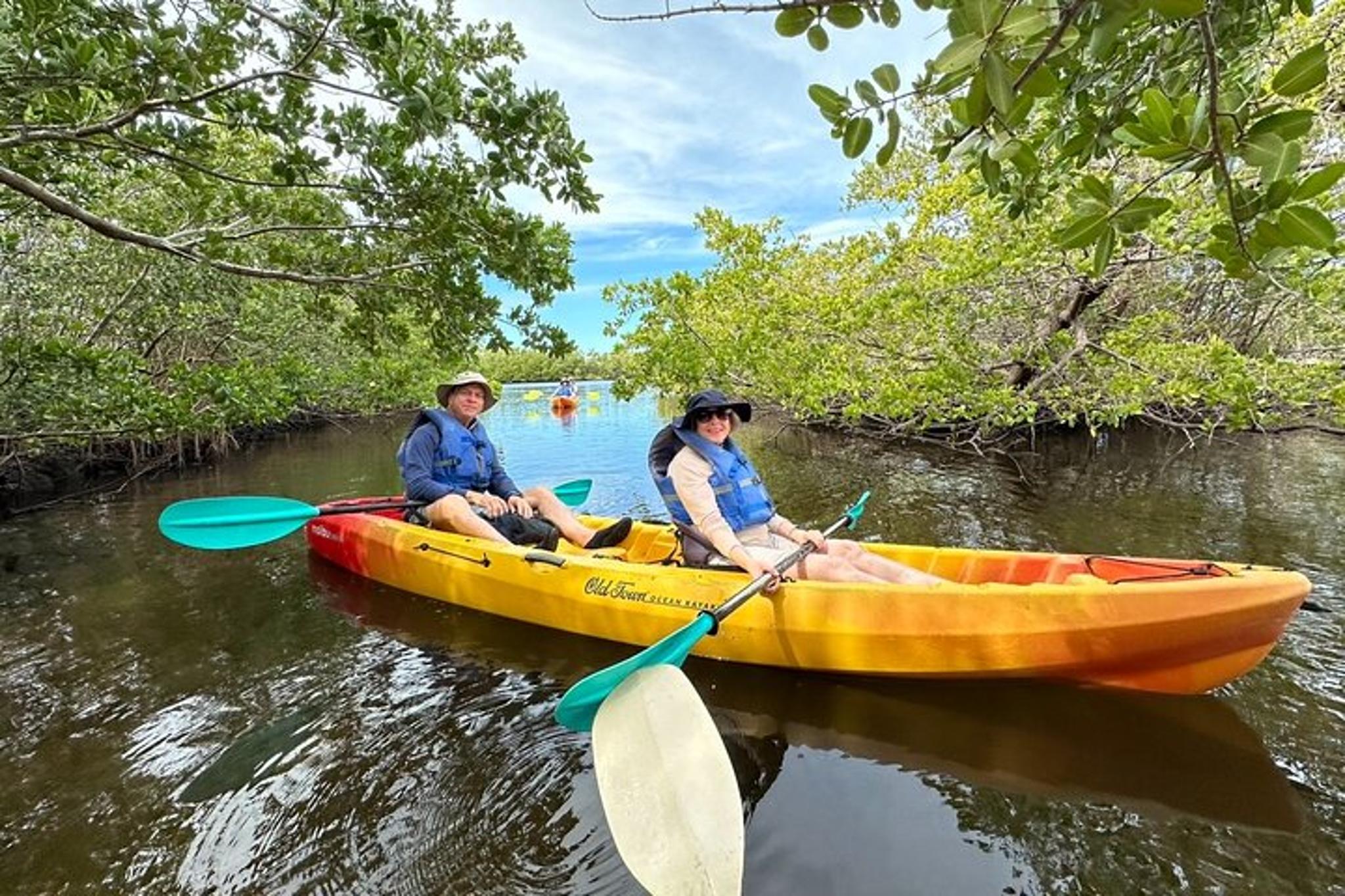 Robinson Preserve Mangrove Kayak Tour - Image 3