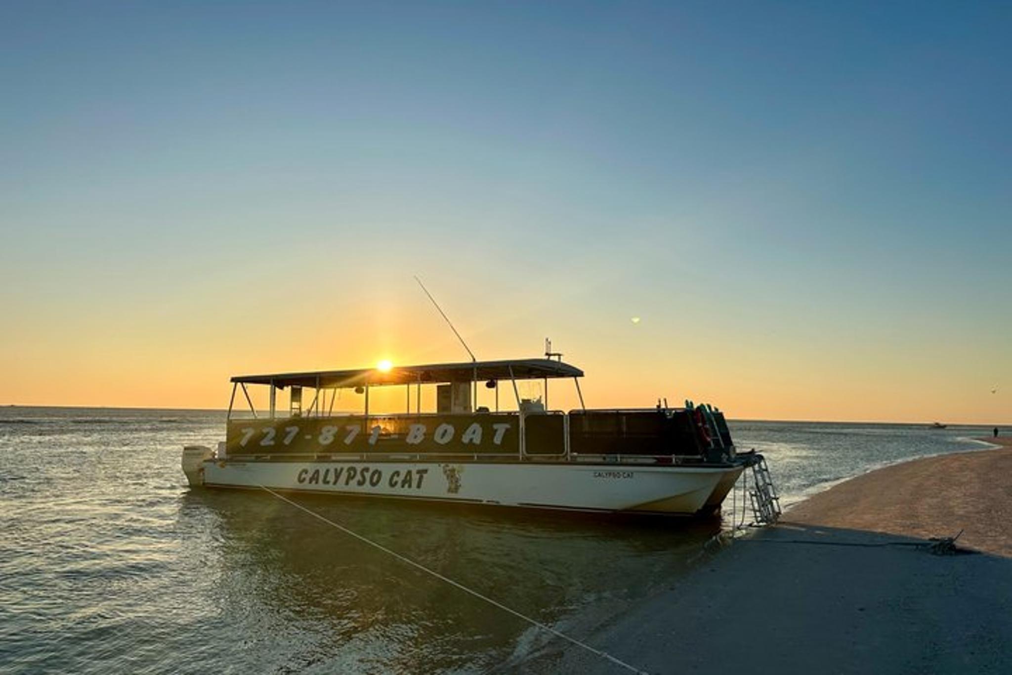 Florida Sunset Boat Tour with Dolphins - Image 4