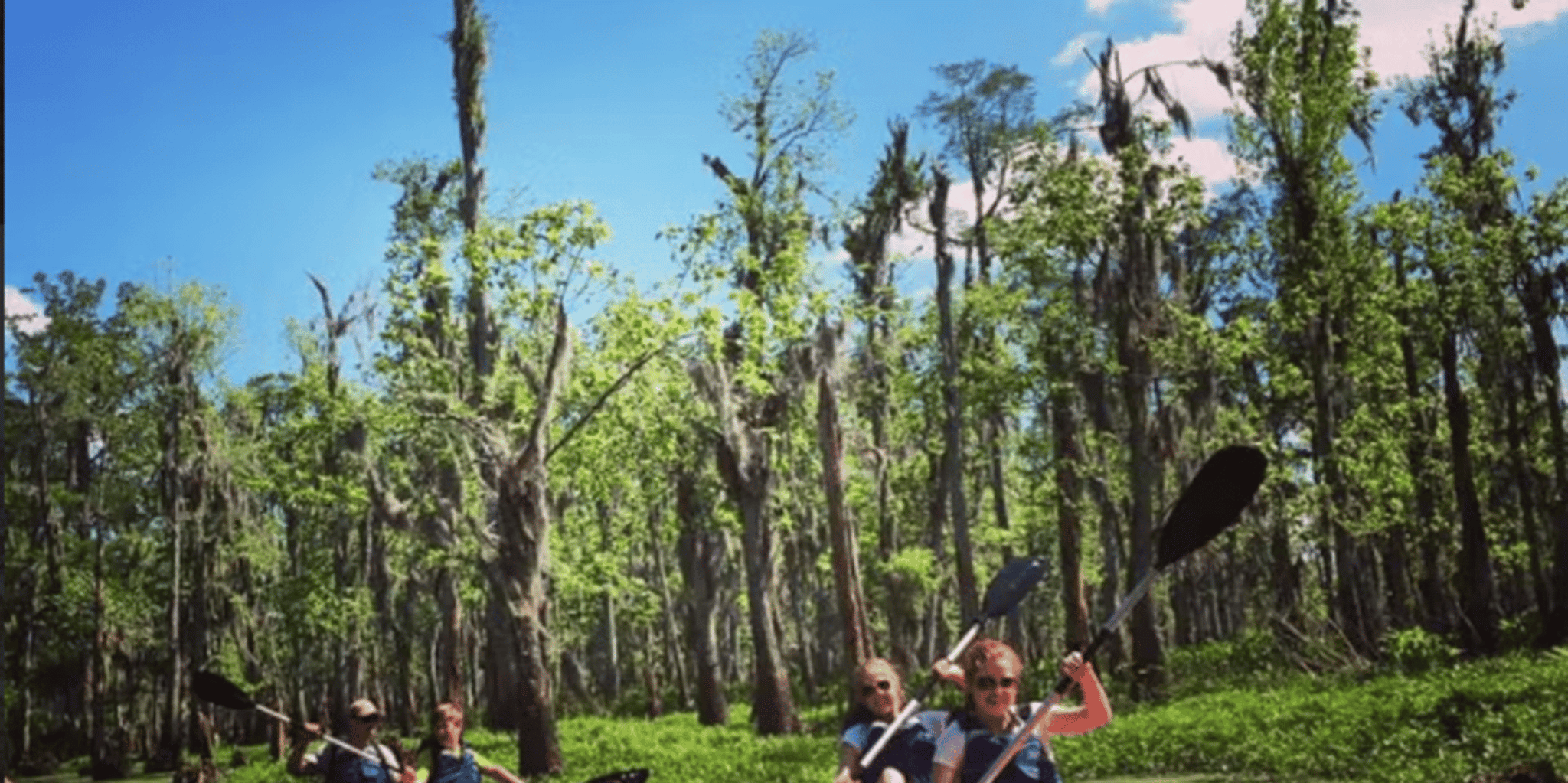 New Orleans Manchac Swamp Kayak Tour