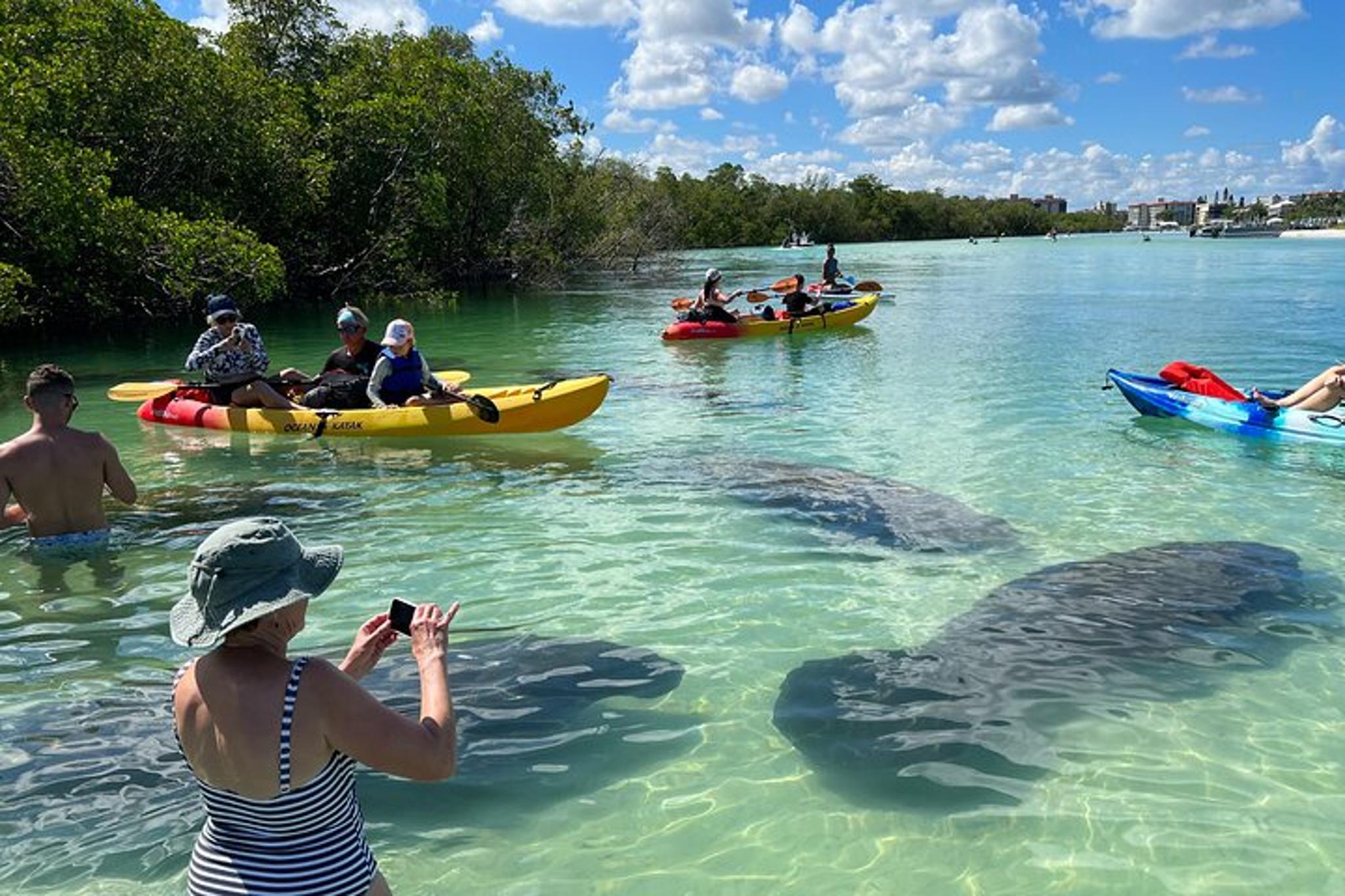 Fort Myers Beach Island Tour by Kayak or SUP - Image 3