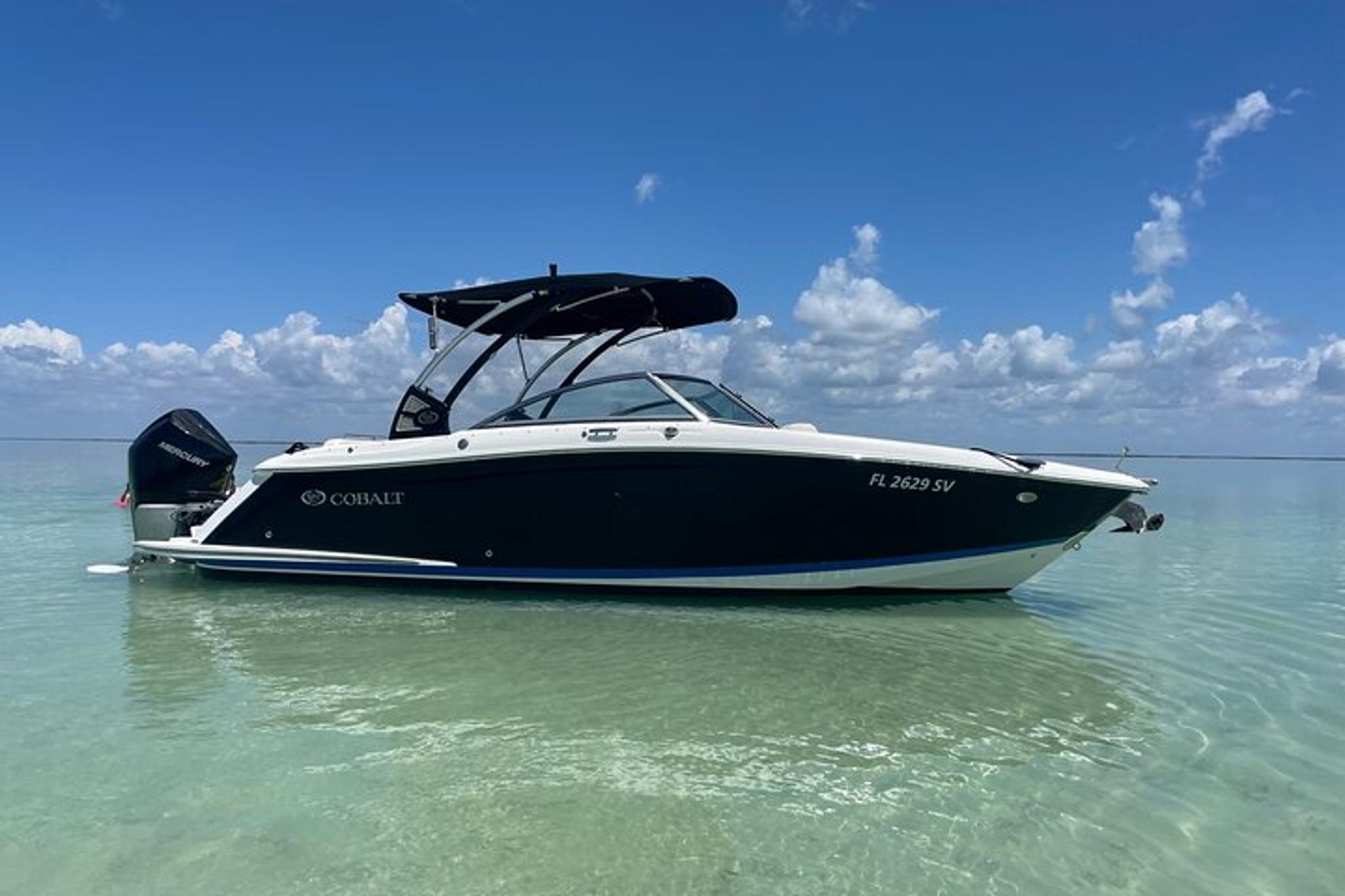 Key Largo Dolphin Sunset Tour - Image 2