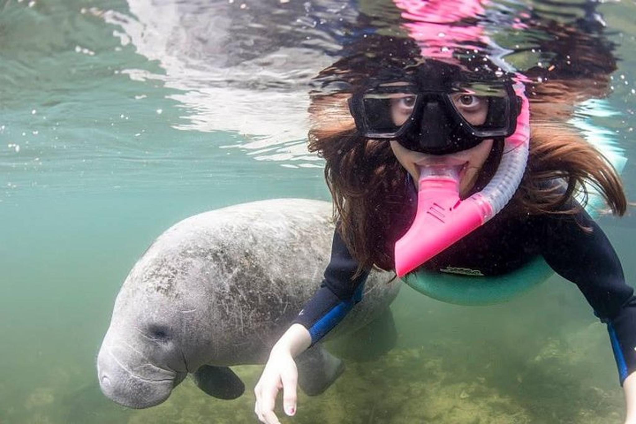 Crystal River Manatee Swim Tour with In-Water Guide 3 hr - Image 4