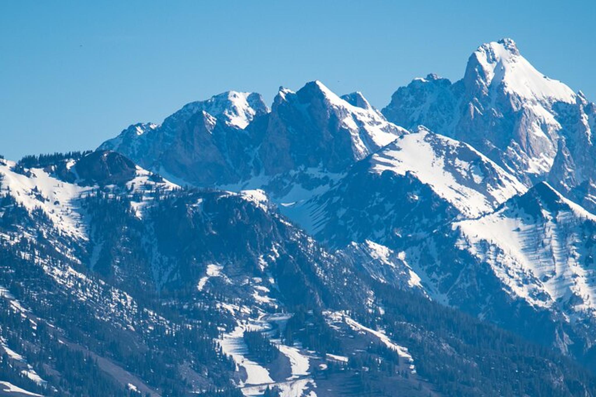 Jackson Snake River Scenic Float - Image 6