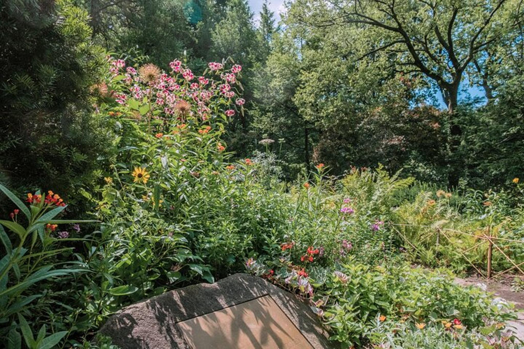 New York Central Park Bicycle Tour - Cinema - Image 3