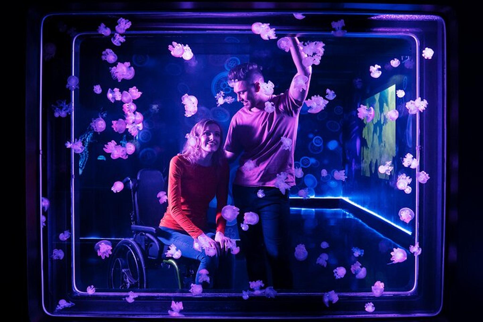 Auburn Hills Aquarium Admission - Image 5