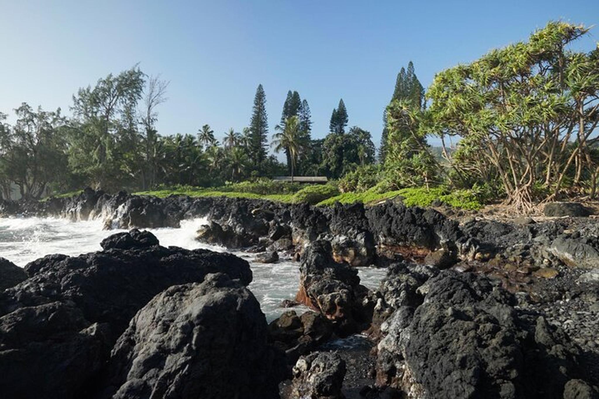 Maui Road to Hana Rainforest & Waterfall Tour - Image 3