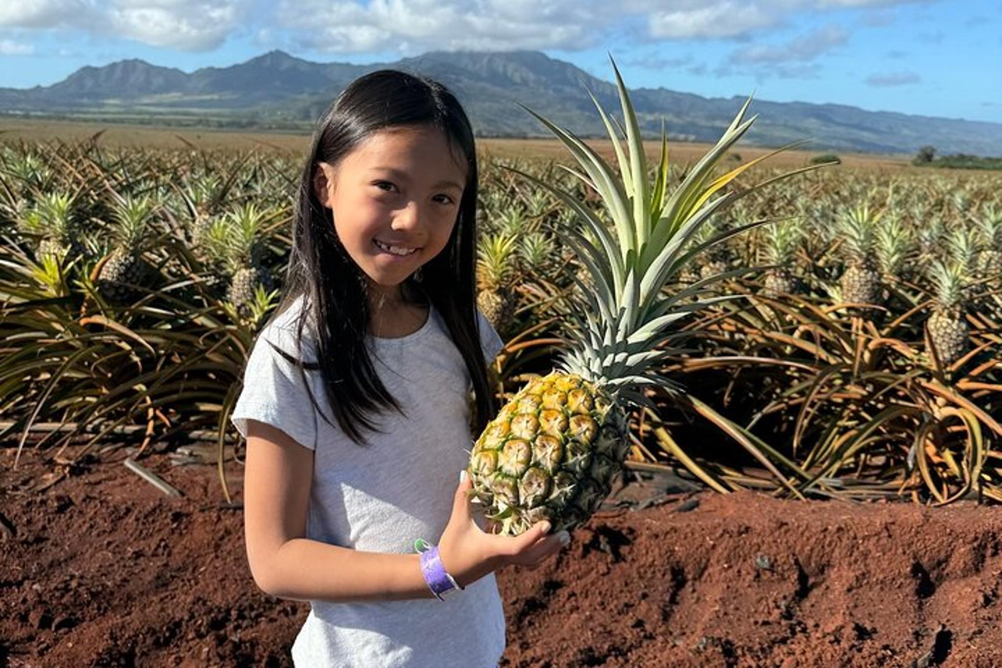 Oahu Pearl Harbor and Circle Island Tour - Image 5
