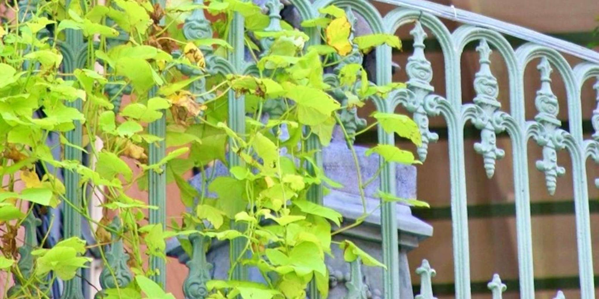 New Orleans Private Driving Tour - Image 3