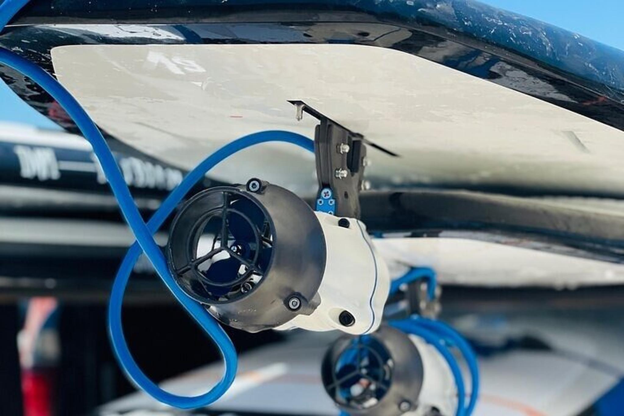 Crystal River Electric Paddleboard Rentals - Image 2