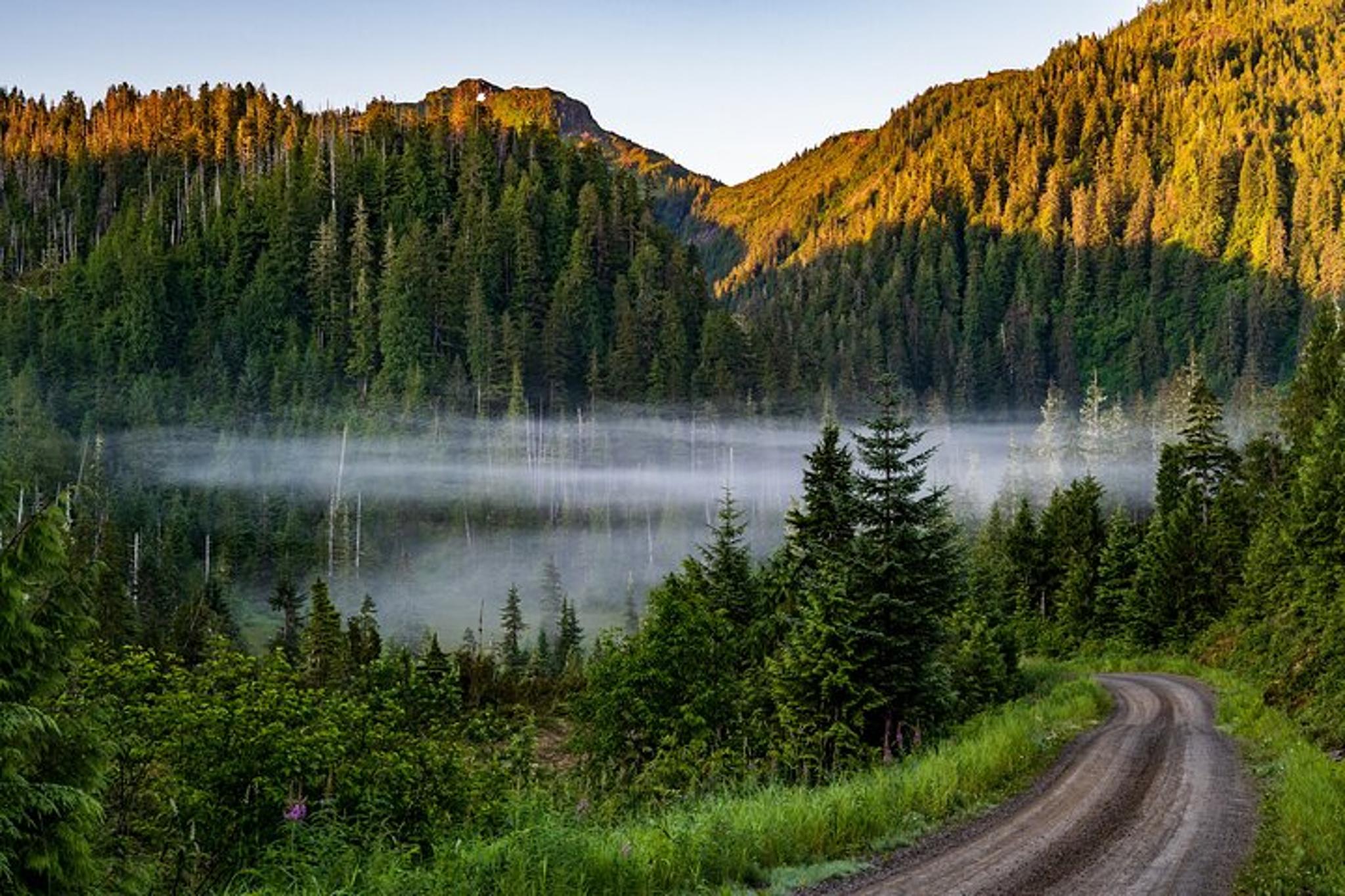 Ketchikan Backcountry Driving Tour - Image 4