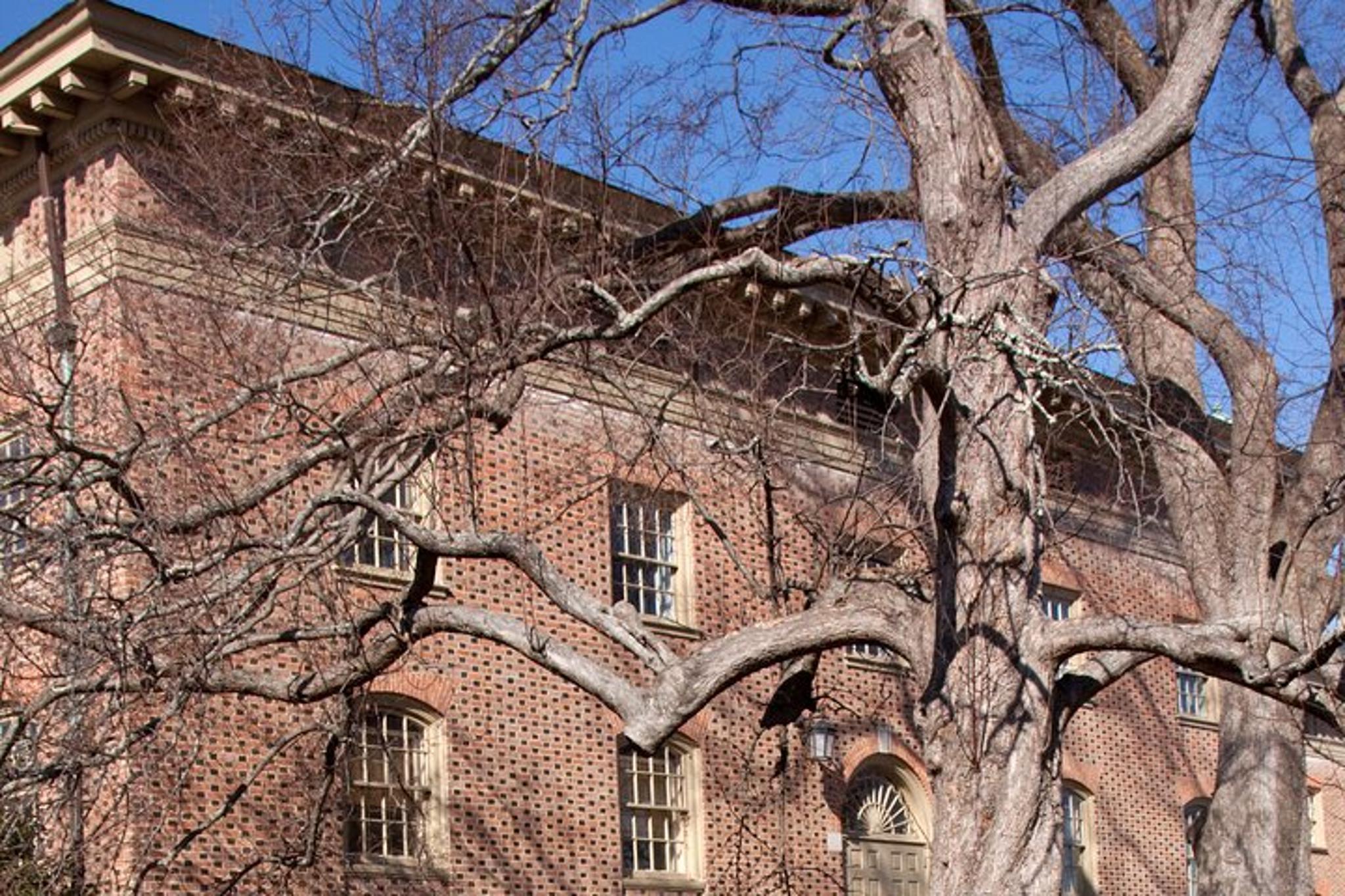 Williamsburg Ghost Tour - Image 2