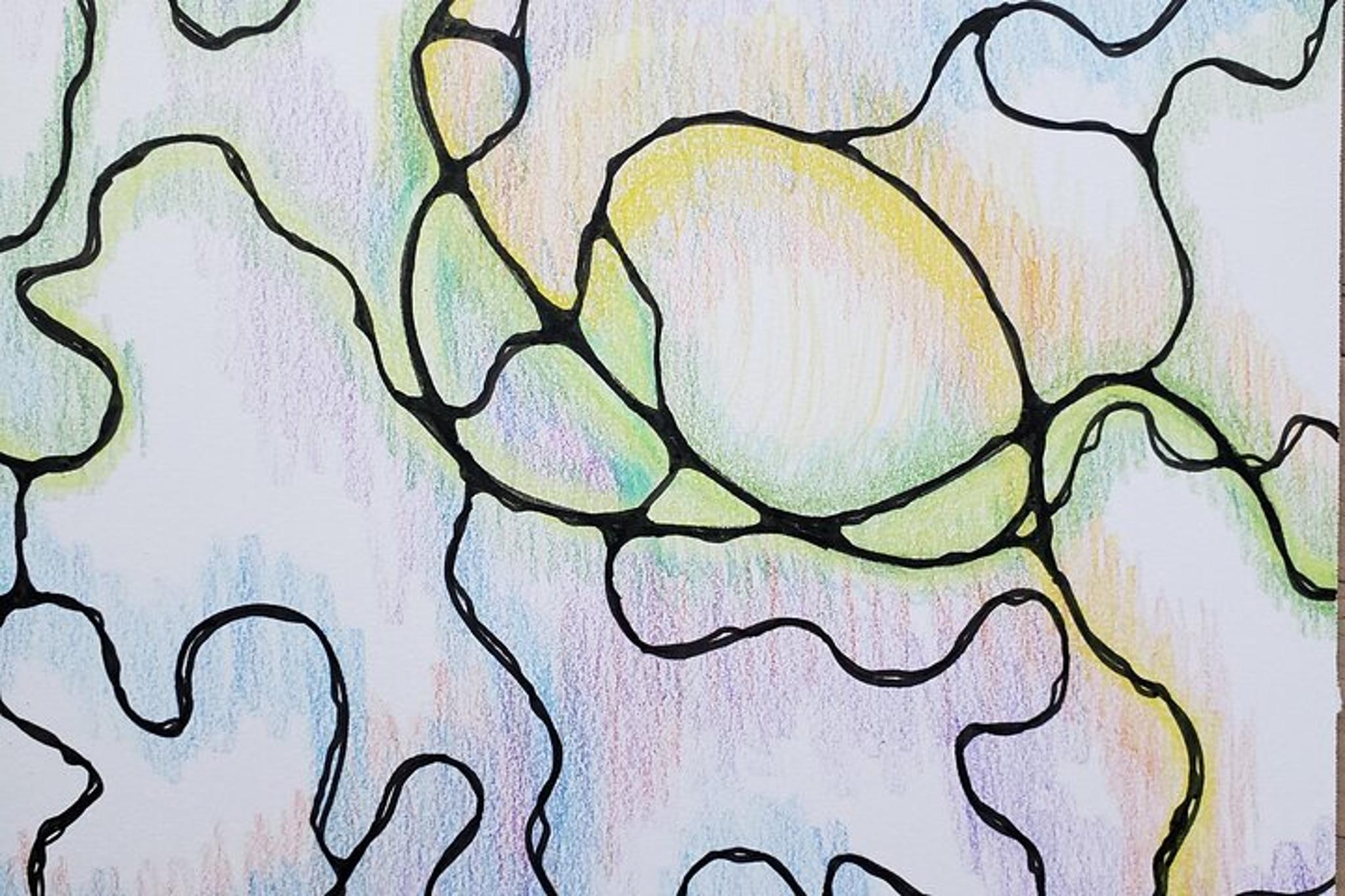 San Jose Stress-Relief Drawing Class - Image 5