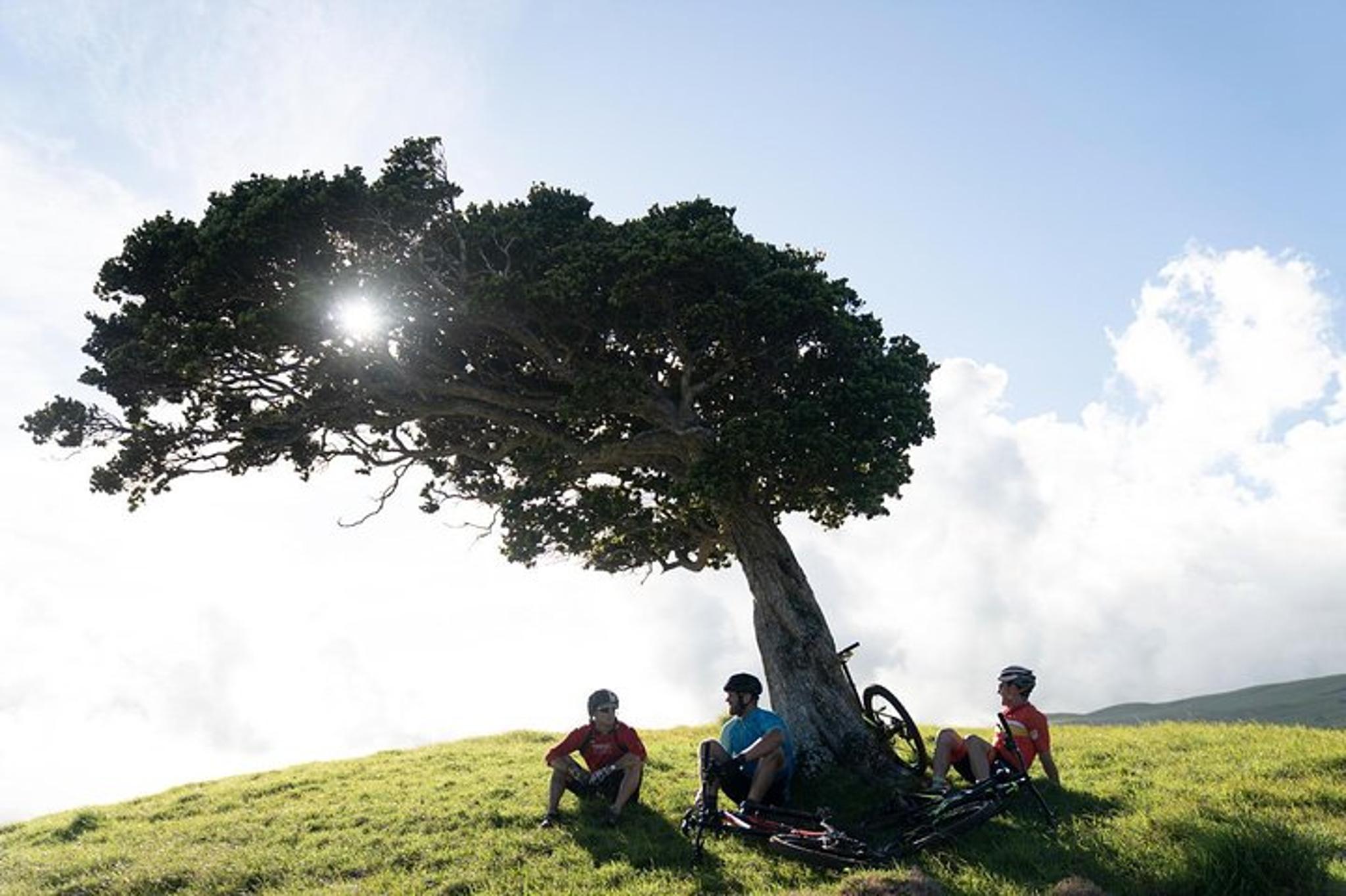 Big Island Mountain Biking on Anna Ranch - Image 6