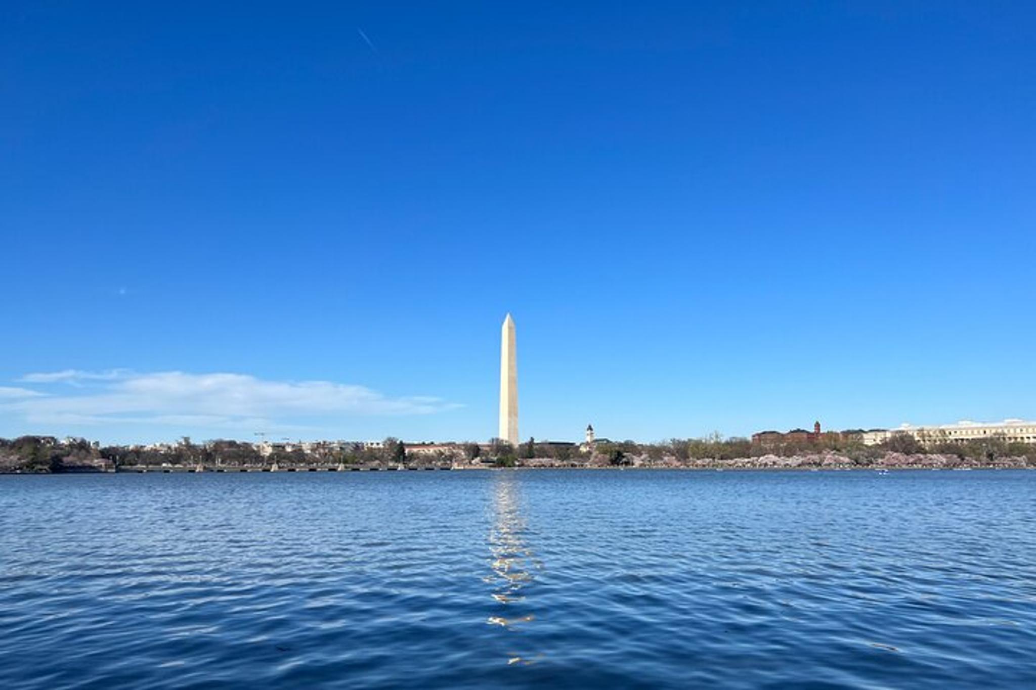 Washington DC Guided Tour and Airport Transfer - Image 6