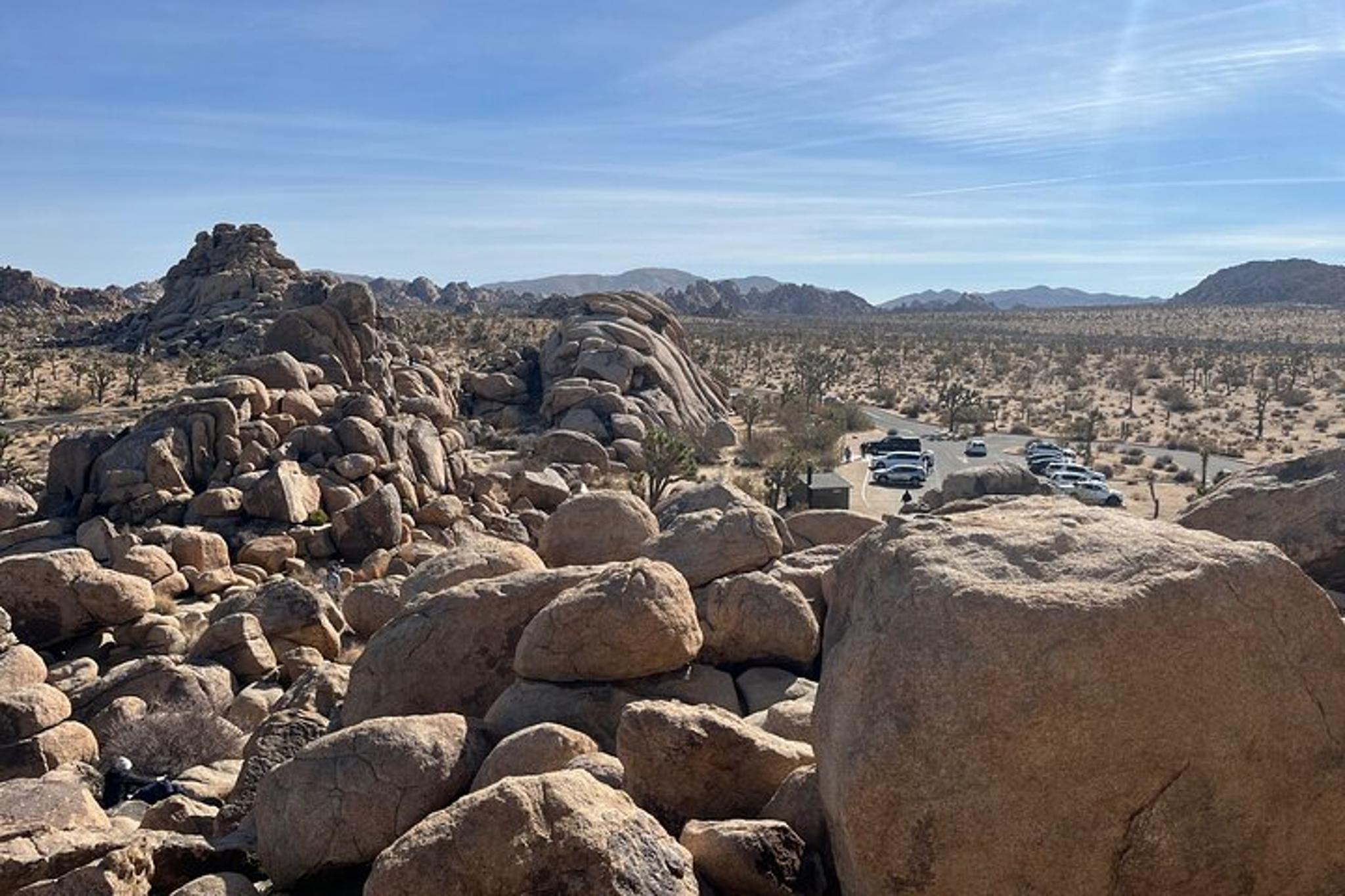 Joshua Tree National Park Sightseeing Tour - Image 3