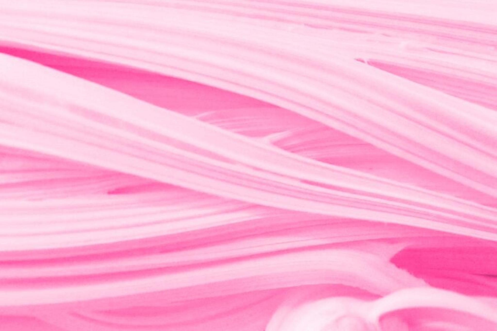 Jacksonville Saltwater Taffy Class - Image 2