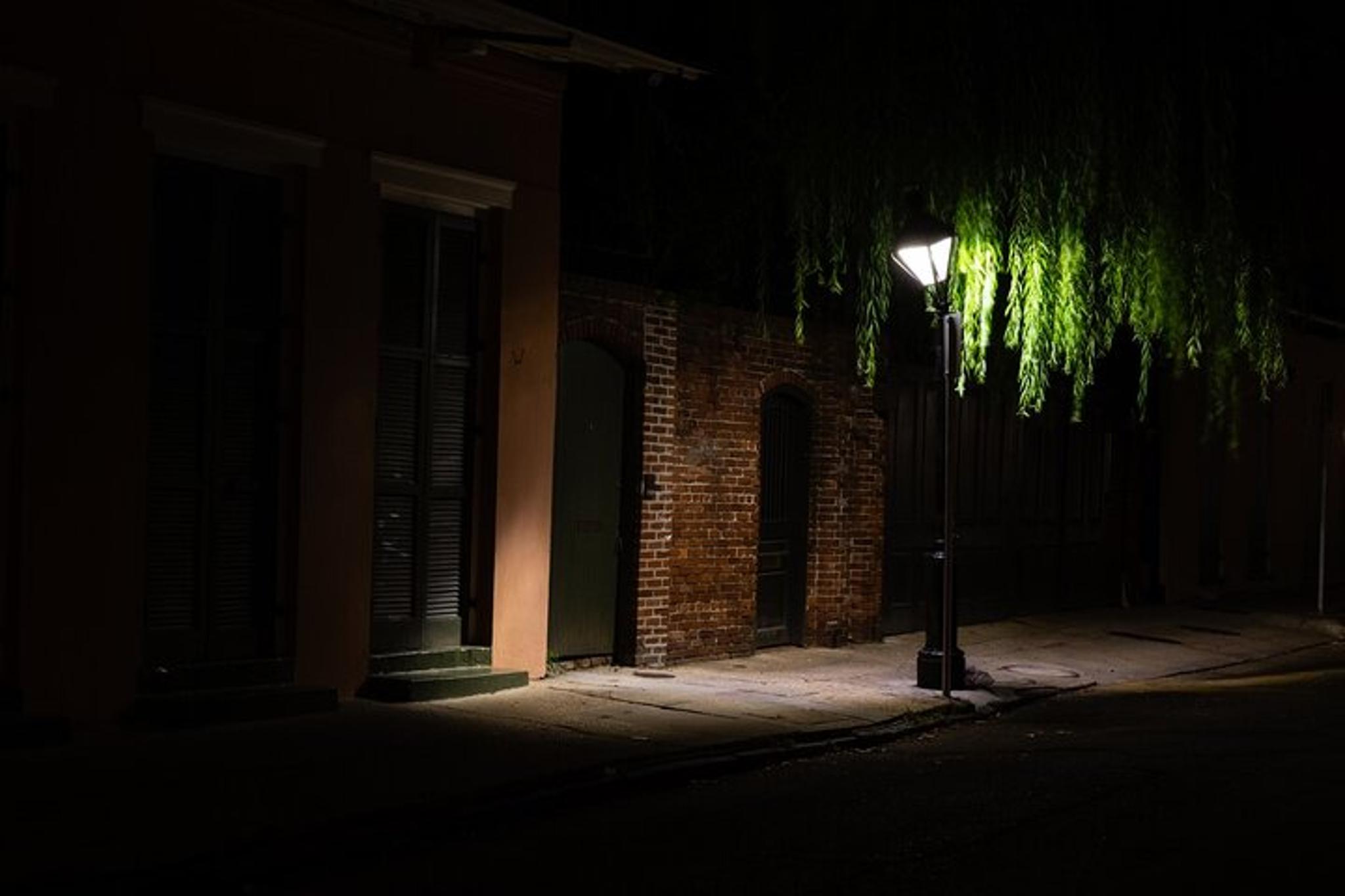 New Orleans True Crime and Ghost Walking Tour - Image 4