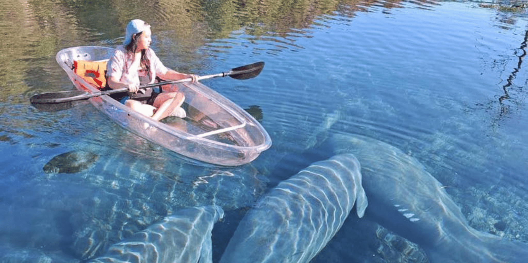 Silver Springs Manatees and Monkeys Kayak Tour - Image 3