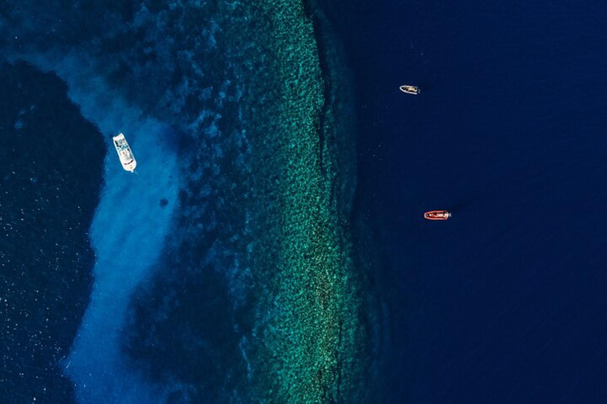 Maui Molokini Snorkel Trip 2 hr - Image 6