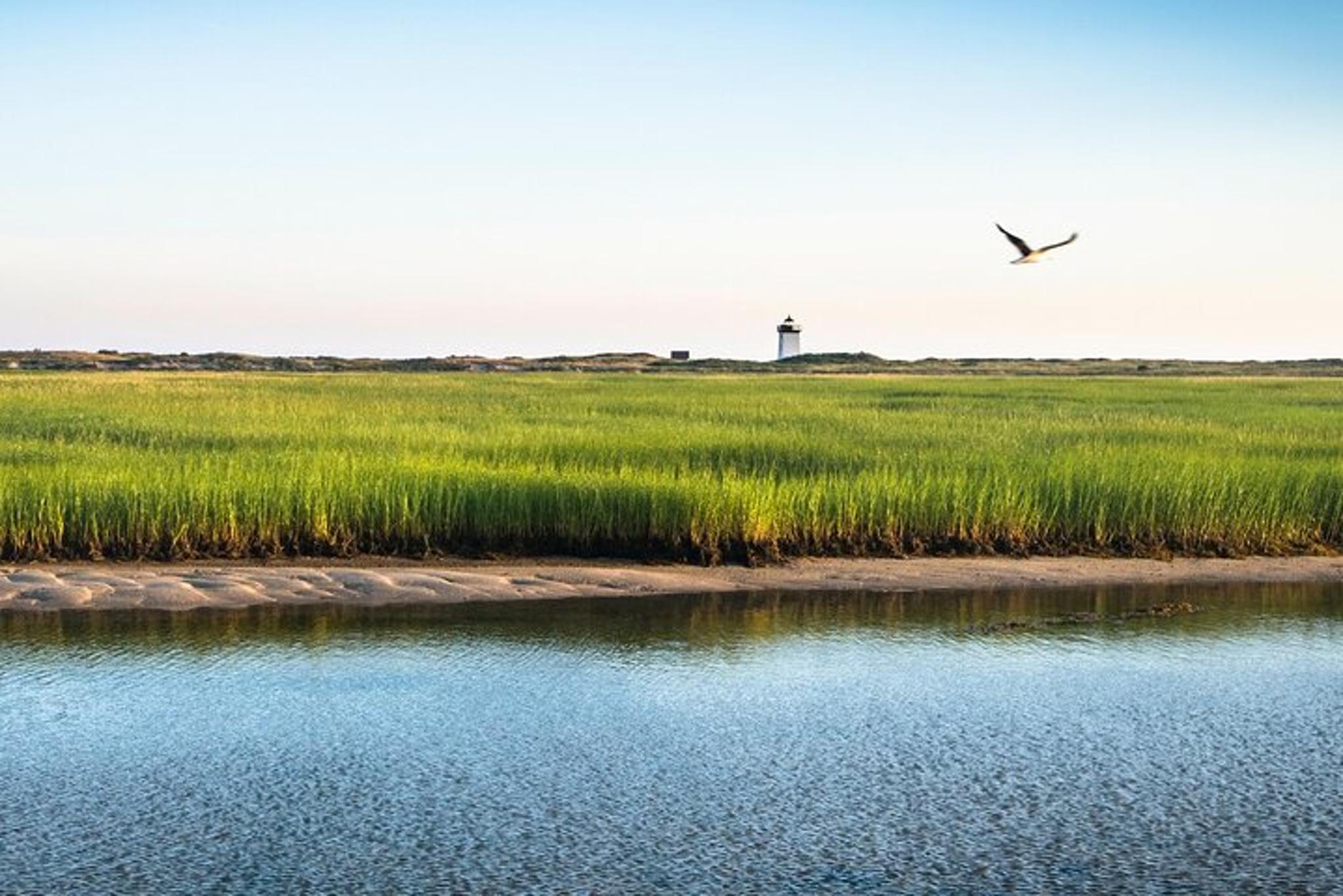 Cape Cod National Seashore Guided Hike