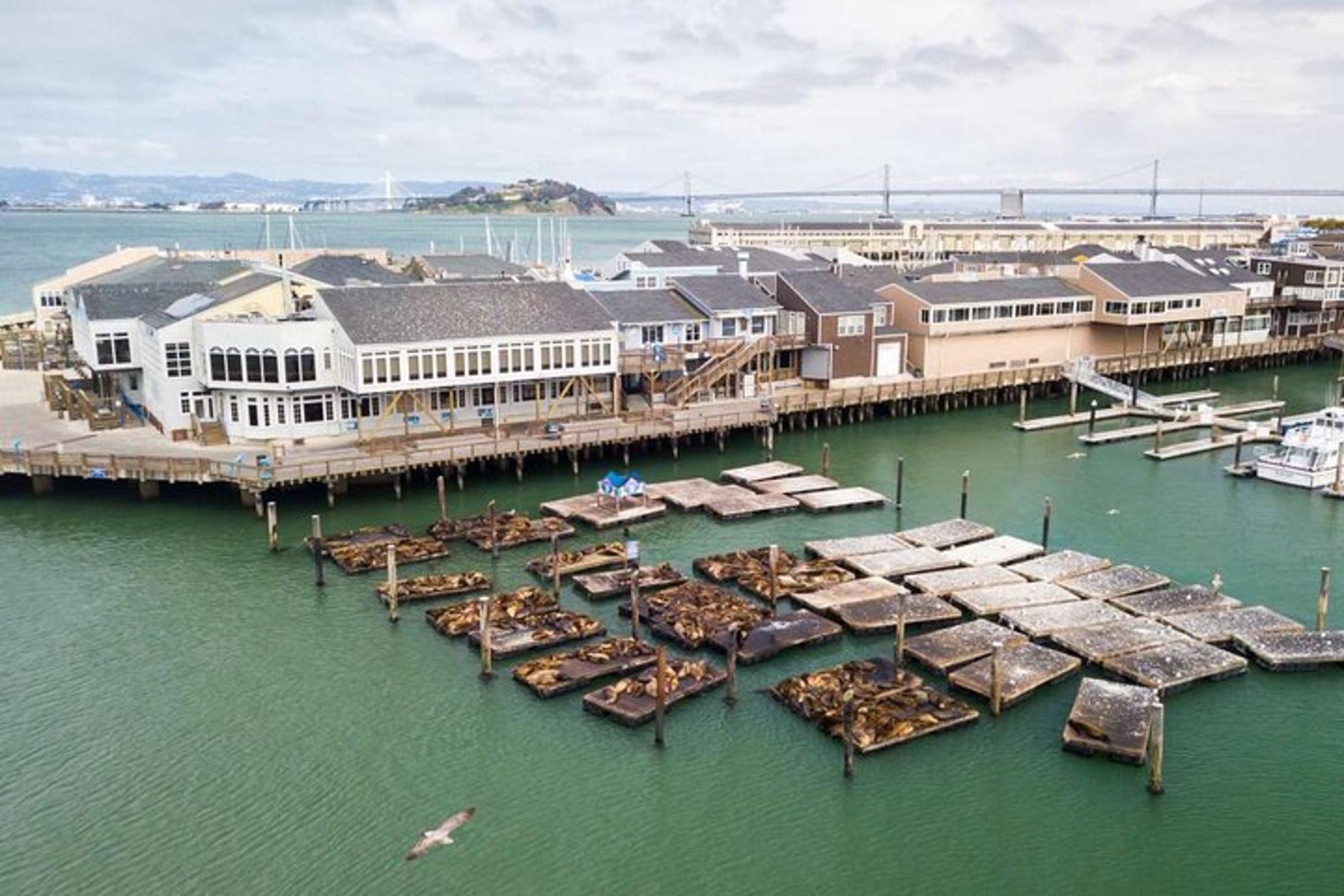 San Francisco Fisherman's Wharf Self-Guided Tour - Image 3