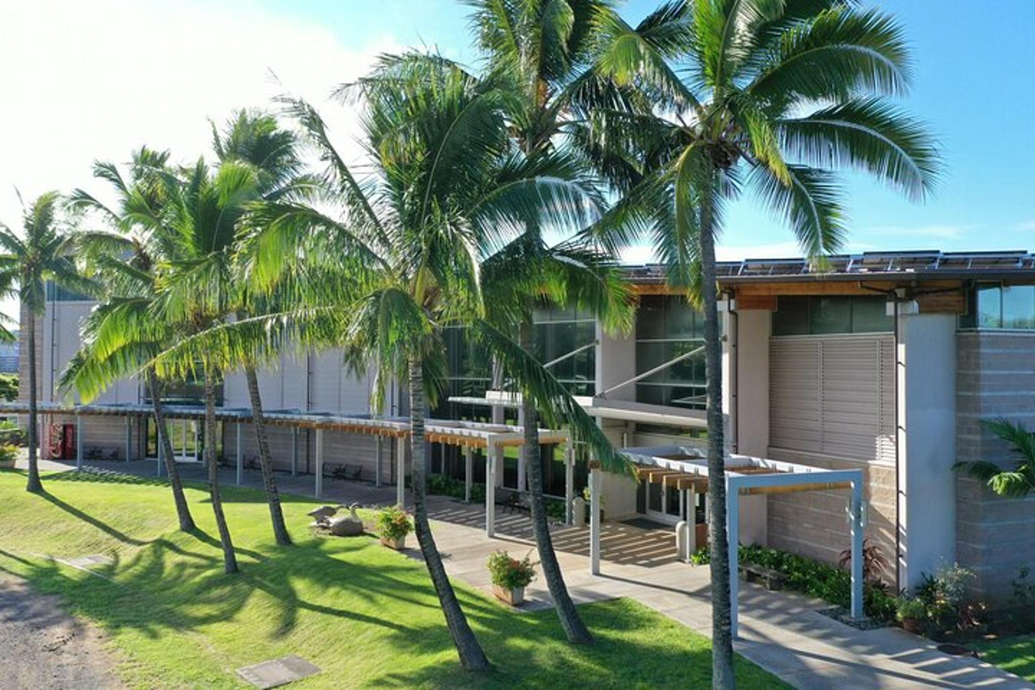 Honolulu Museum Admission - Image 4