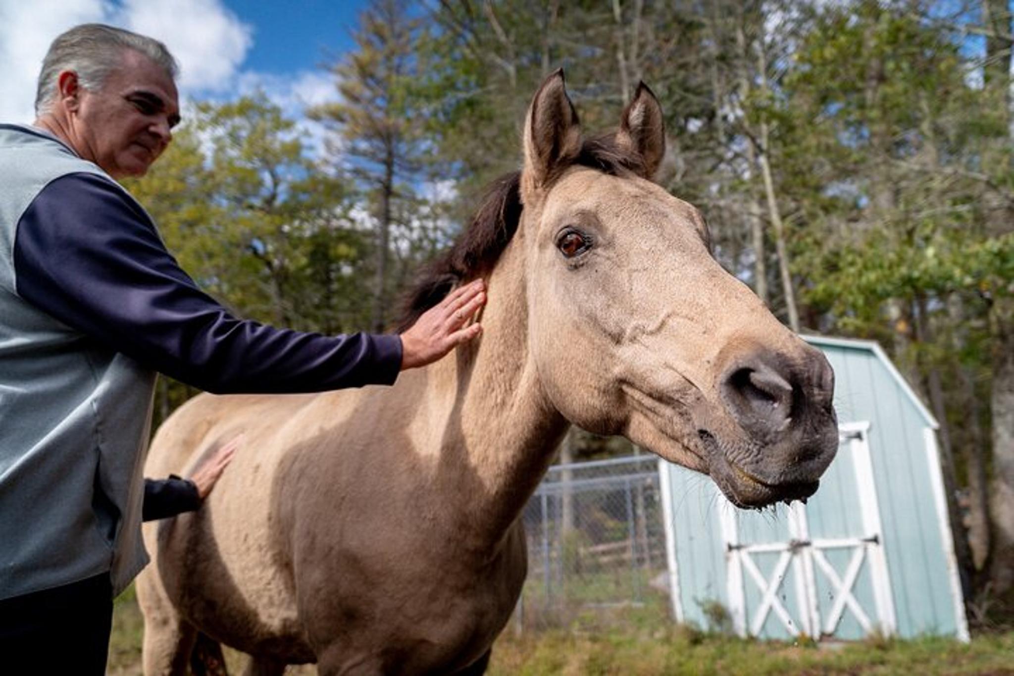 Catskills Farm Tour with Rescue Animals - Image 3