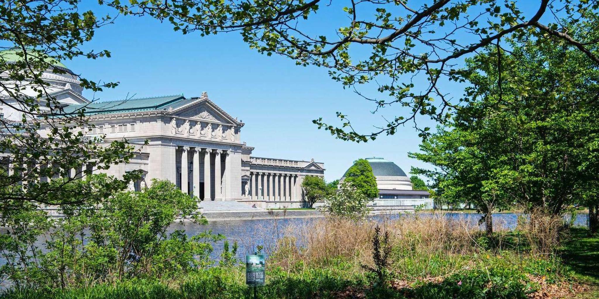 Chicago Field Museum Digital Tour - Image 6