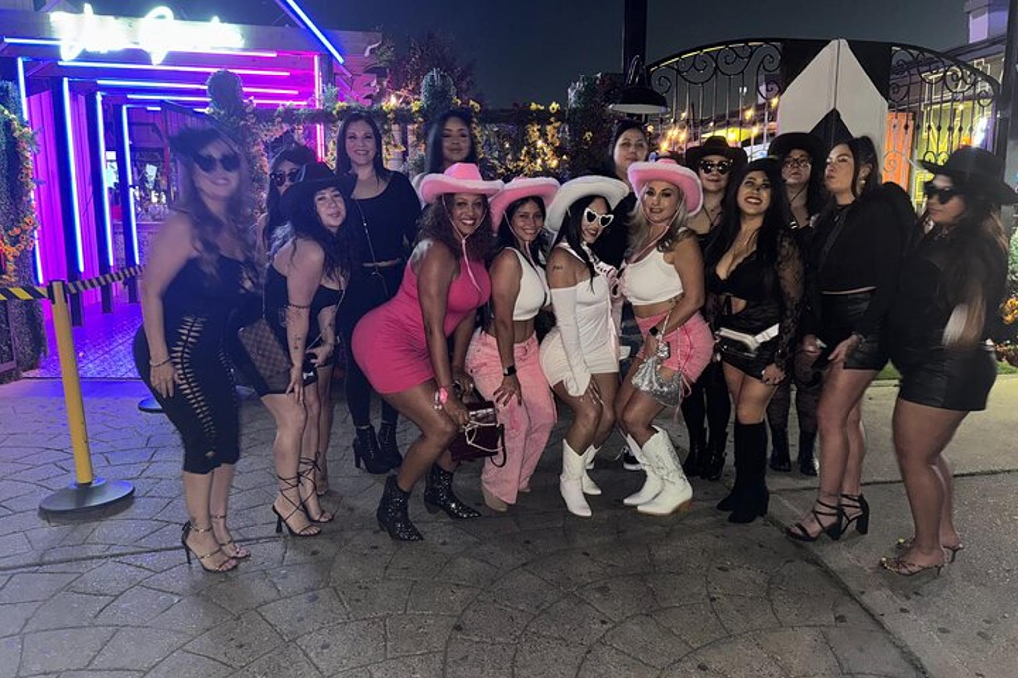 Houston Party Bus Tour - Image 2