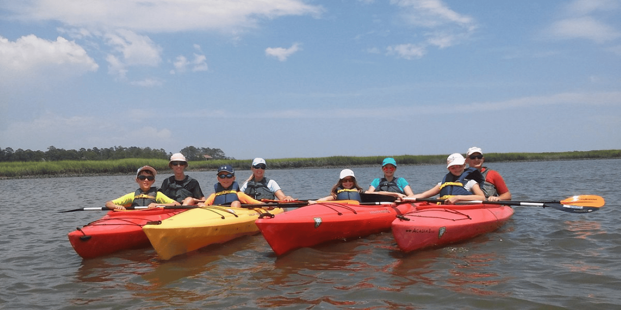Hilton Head Kayak Dolphin Nature Tour 2 hr - Image 6