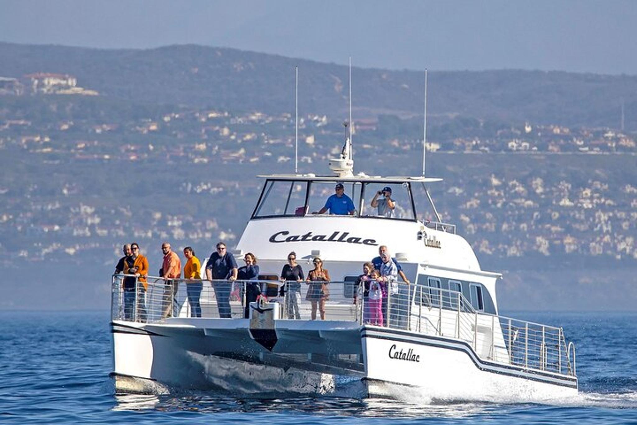 Newport Beach Whale Watching Tour - Image 3