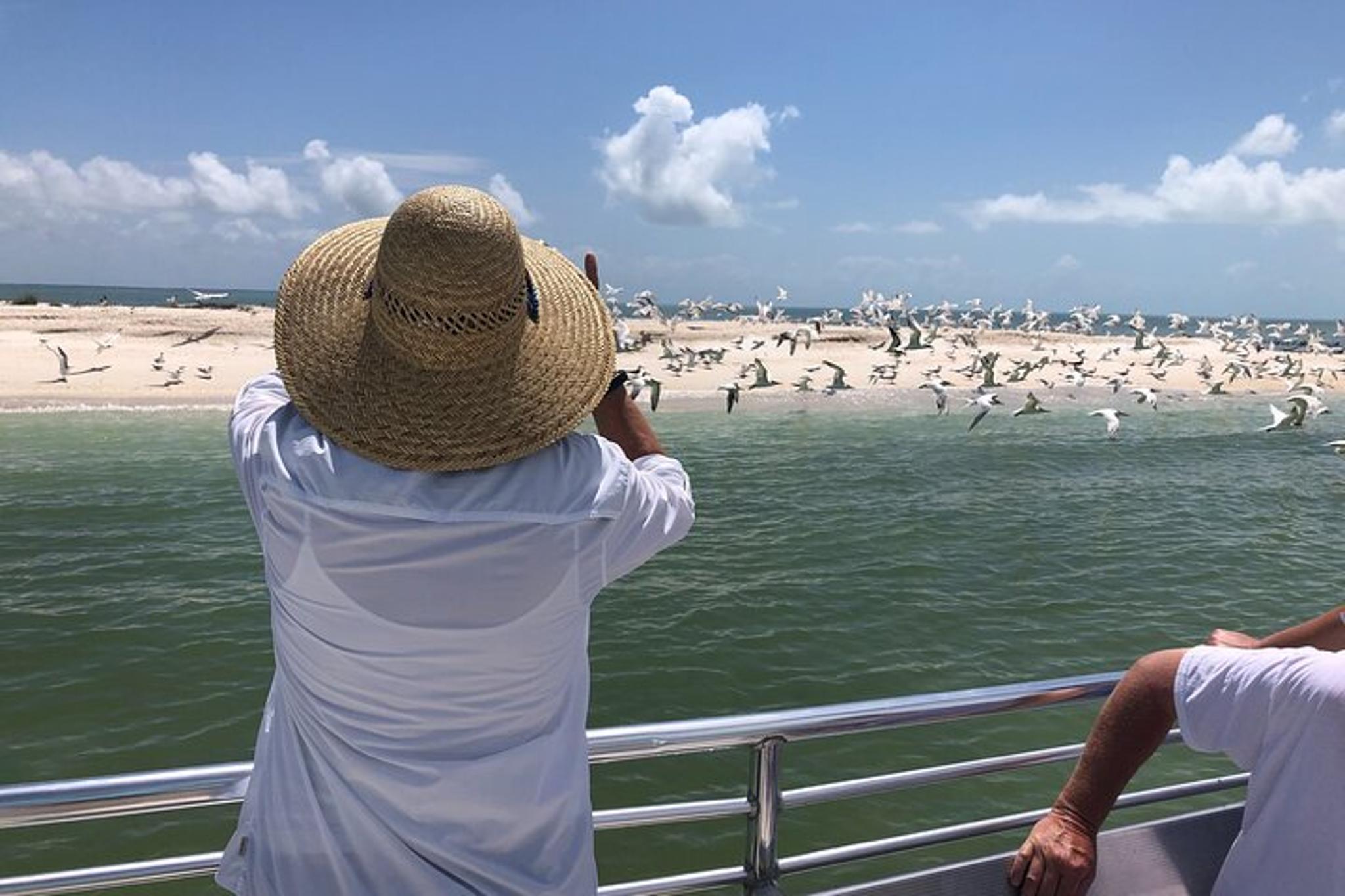 Marco Island Boat Excursion - Dolphins & Shelling Tour - Image 3