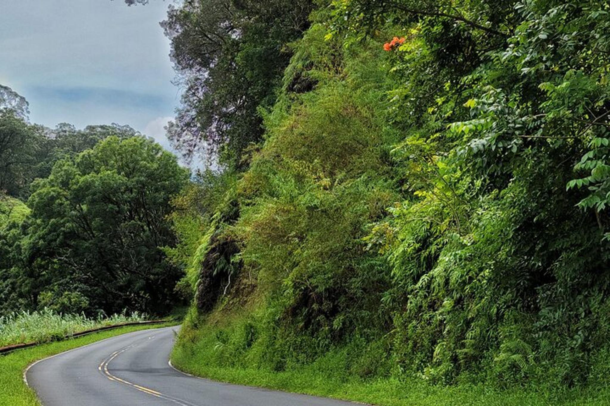 Maui Road to Hana Private Tour - Image 2