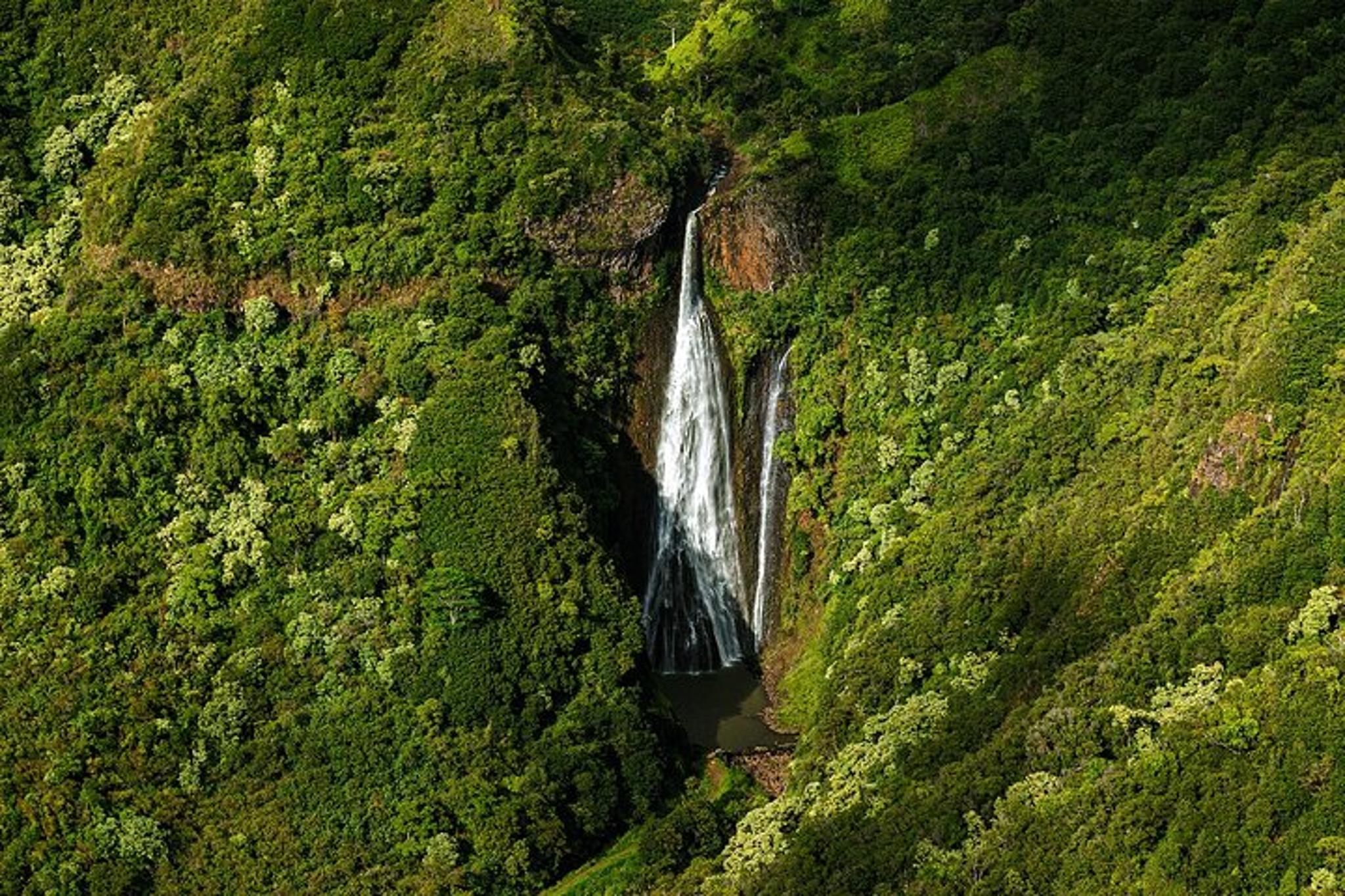 Kauai Airplane Tour: Na Pali Coast & Waterfalls - Image 4