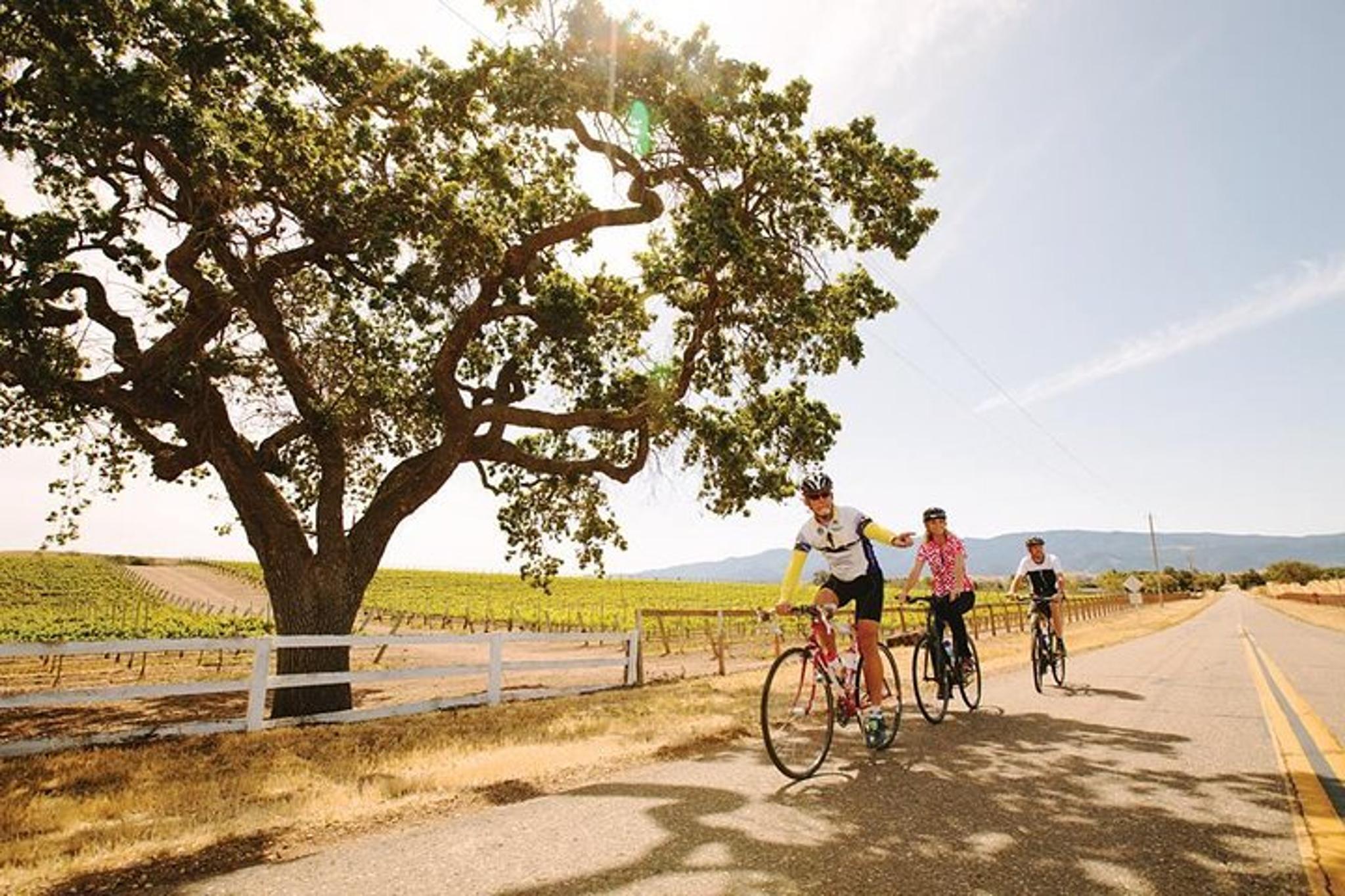 Santa Ynez Wine Country Bike Tour with Lunch