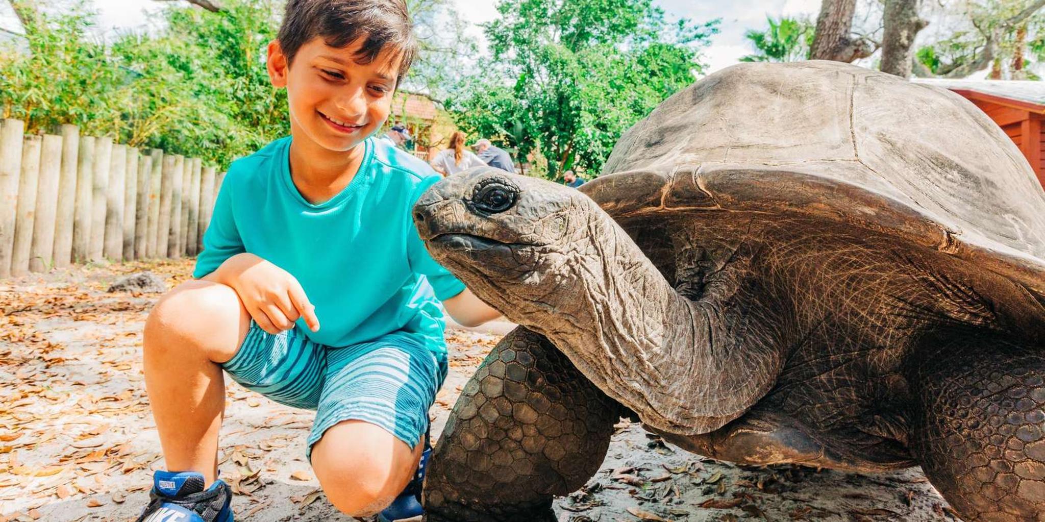 Tampa Zoo and Aquarium Combo Ticket