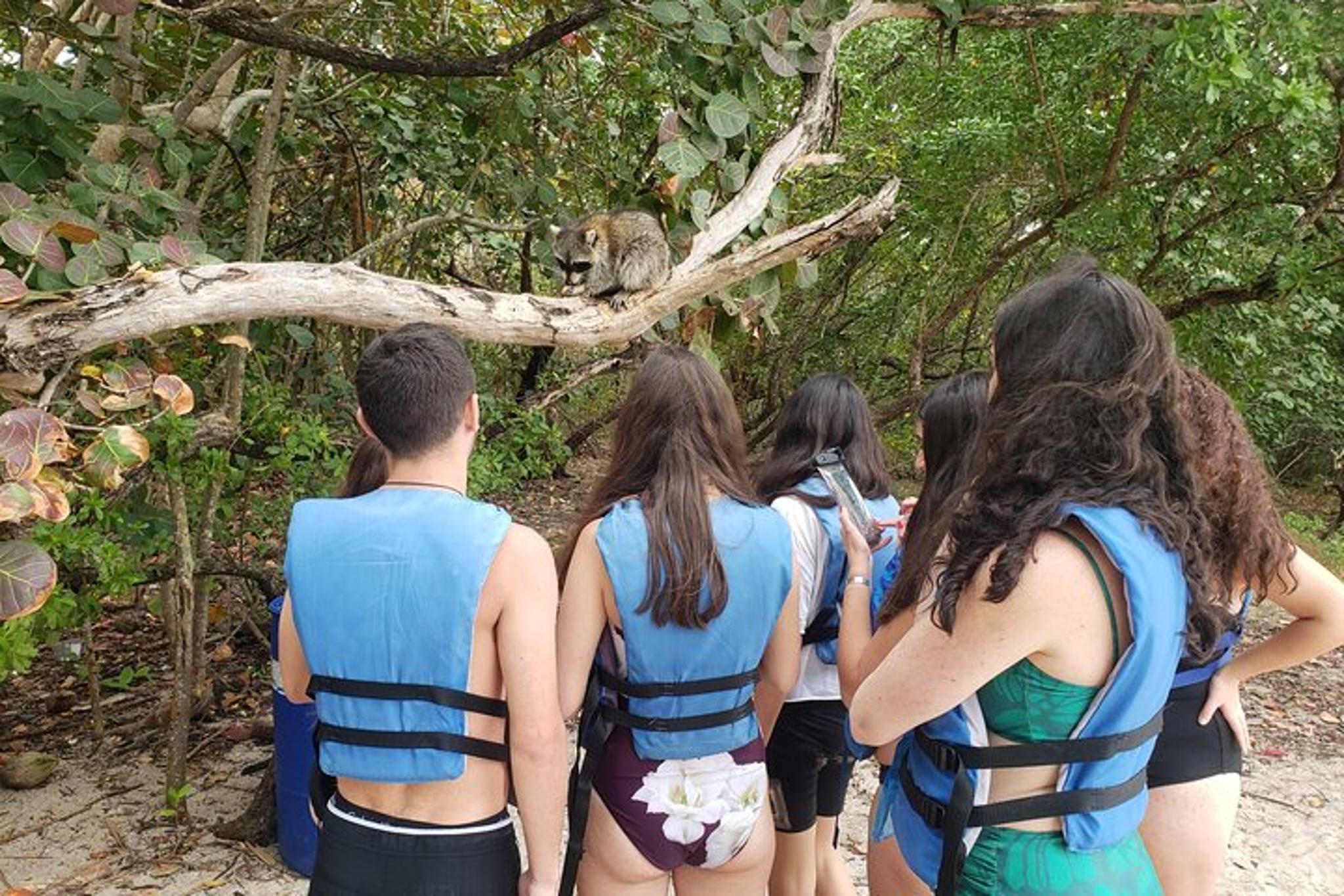 Miami Nature & Island Exploration on SUP/Kayak - Image 3