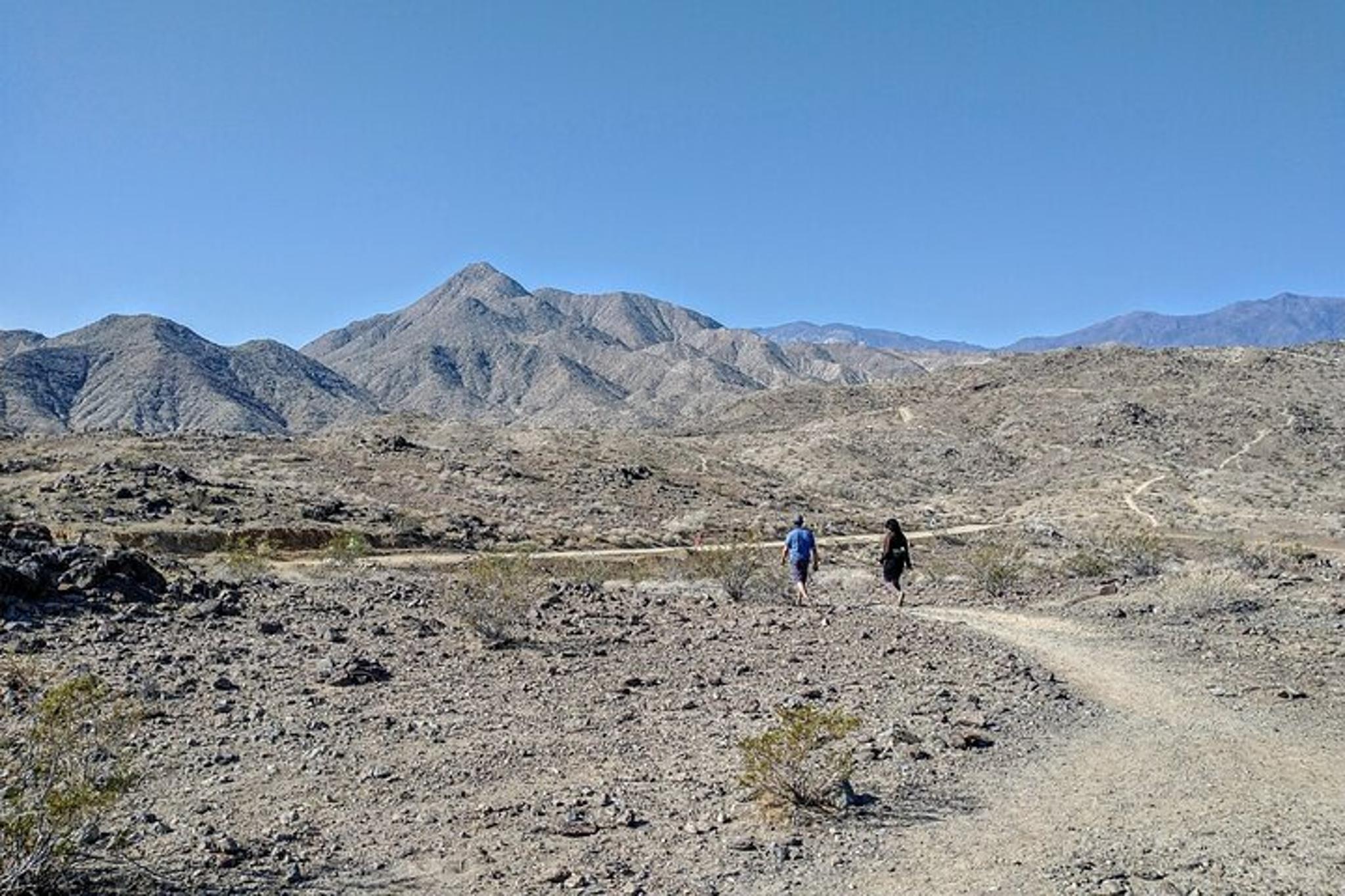 Palm Springs Oasis Hike and Desert Views - Image 4