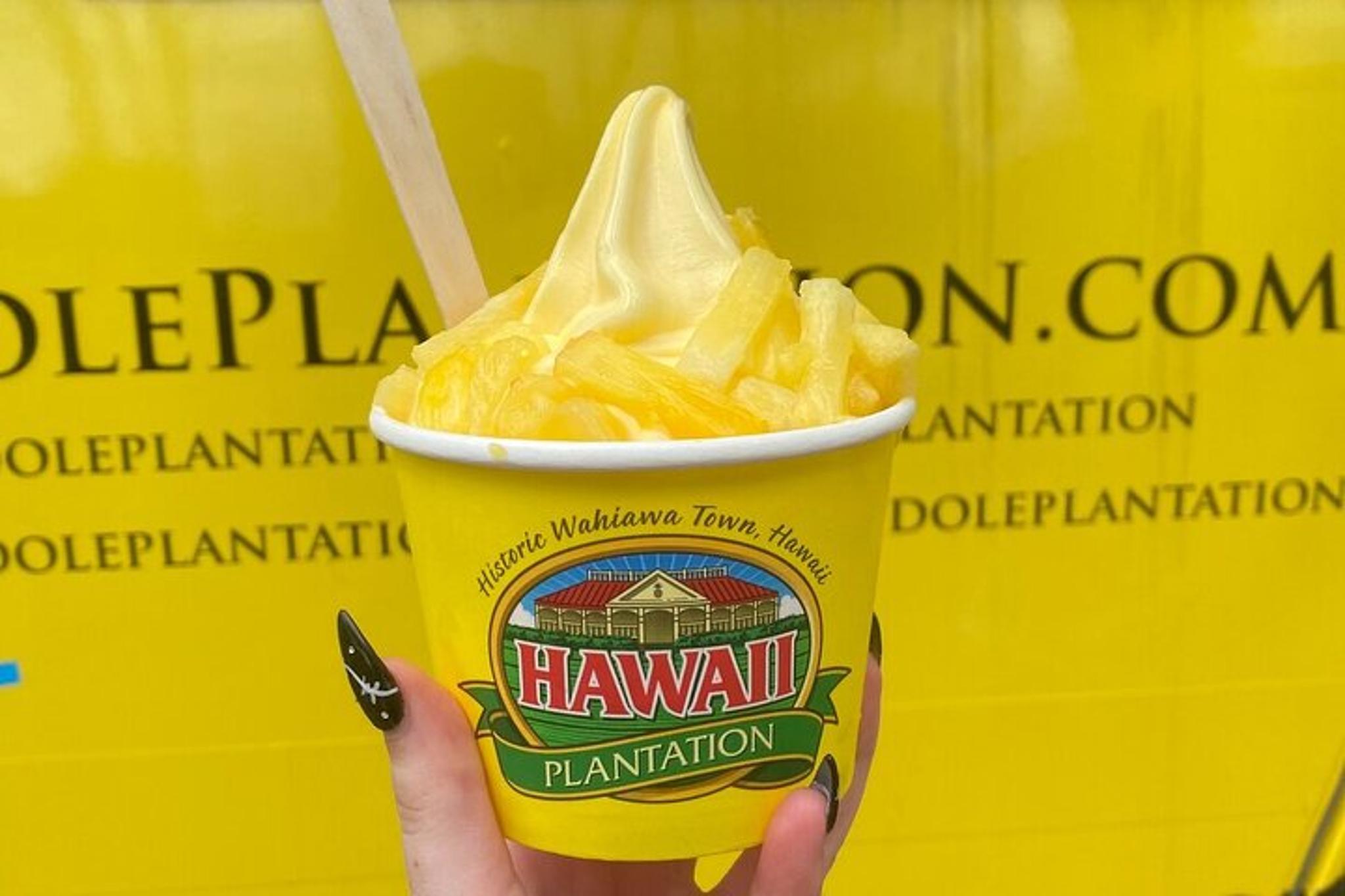 Oahu Circle Island Tour