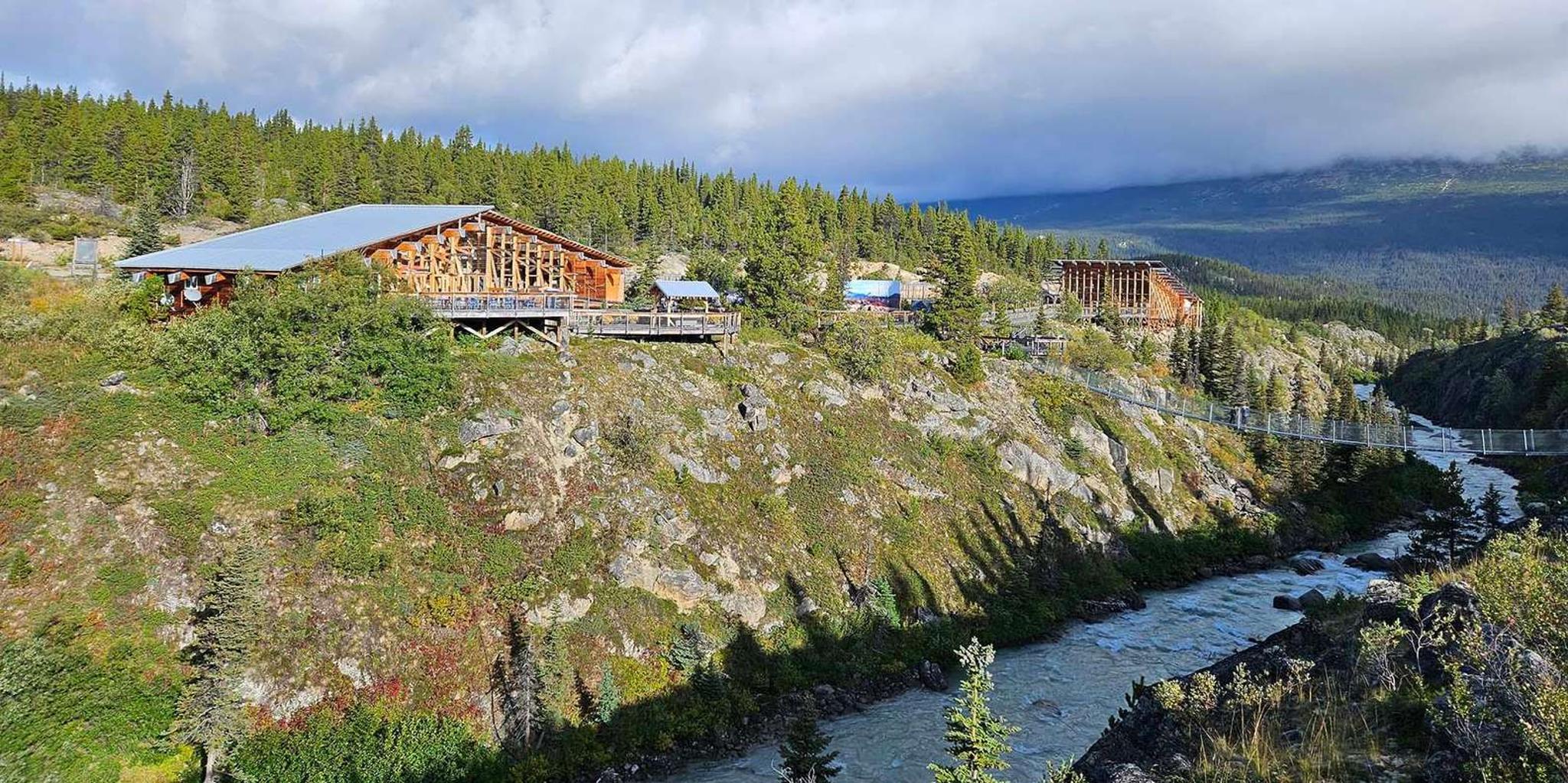 Skagway White Pass and Yukon Suspension Bridge Tour - Image 3