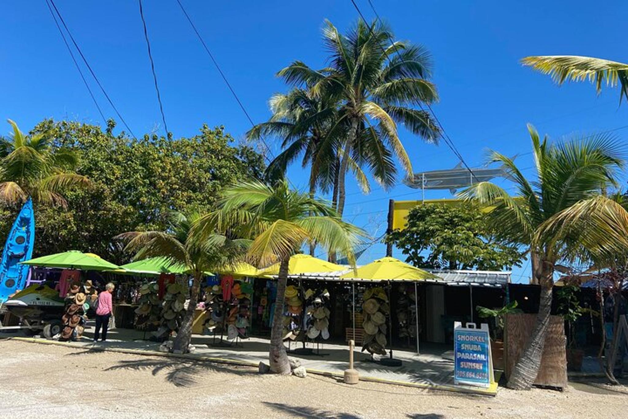 Key Largo and Islamorada Private Tour - Image 5