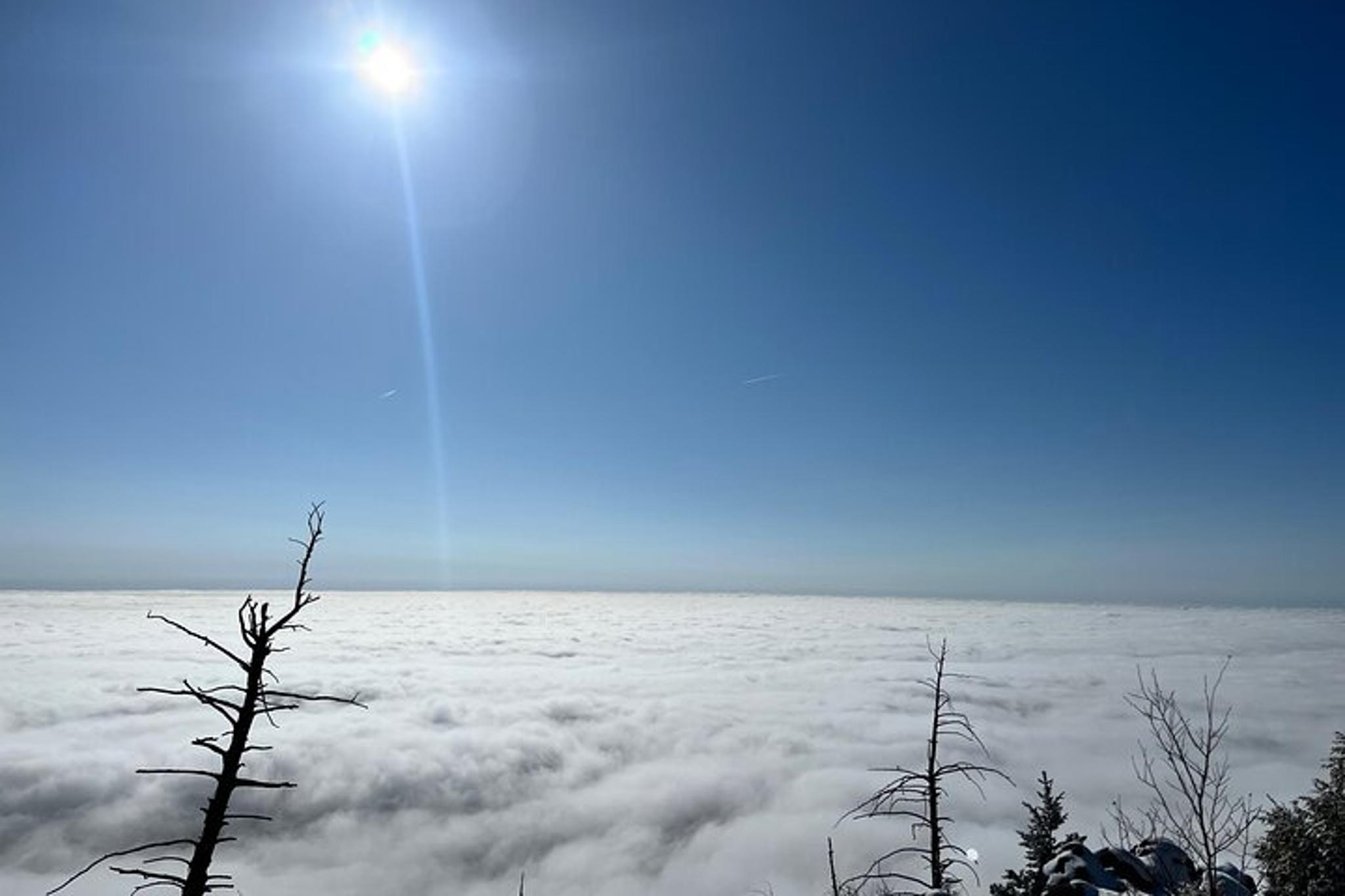 Colorado Fall Foliage Hike Legault Mountain - Image 3