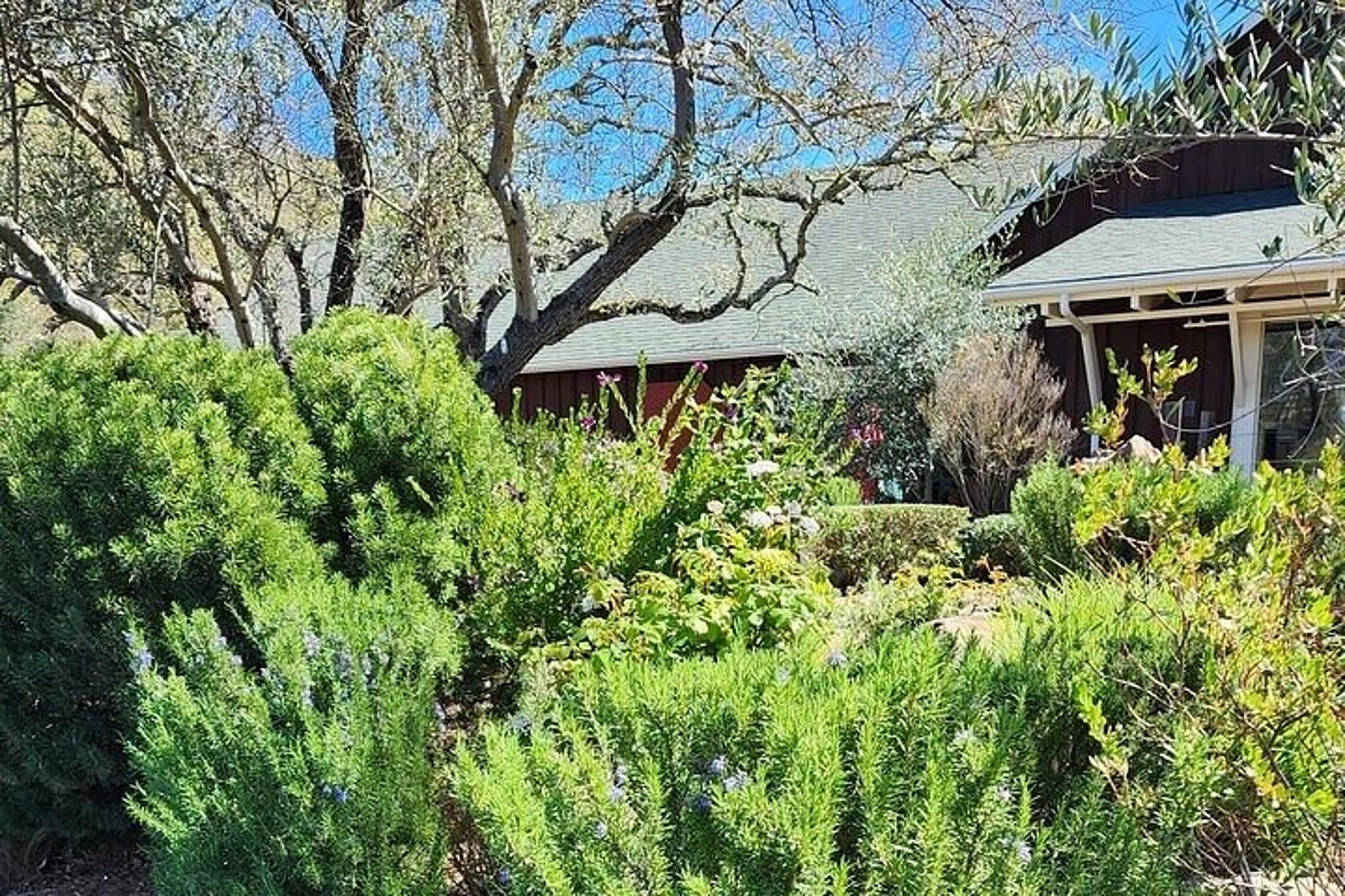 Sonoma and Napa Champagne and Wine Tour - Image 5