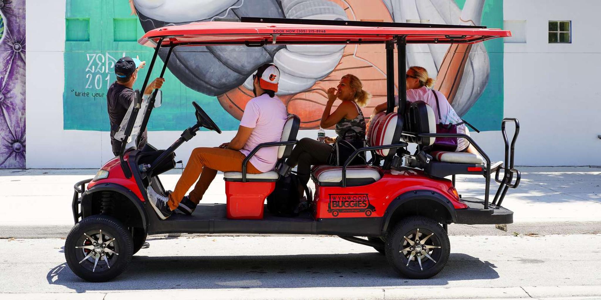 Miami Wynwood Art District Buggy Tour 1 hr