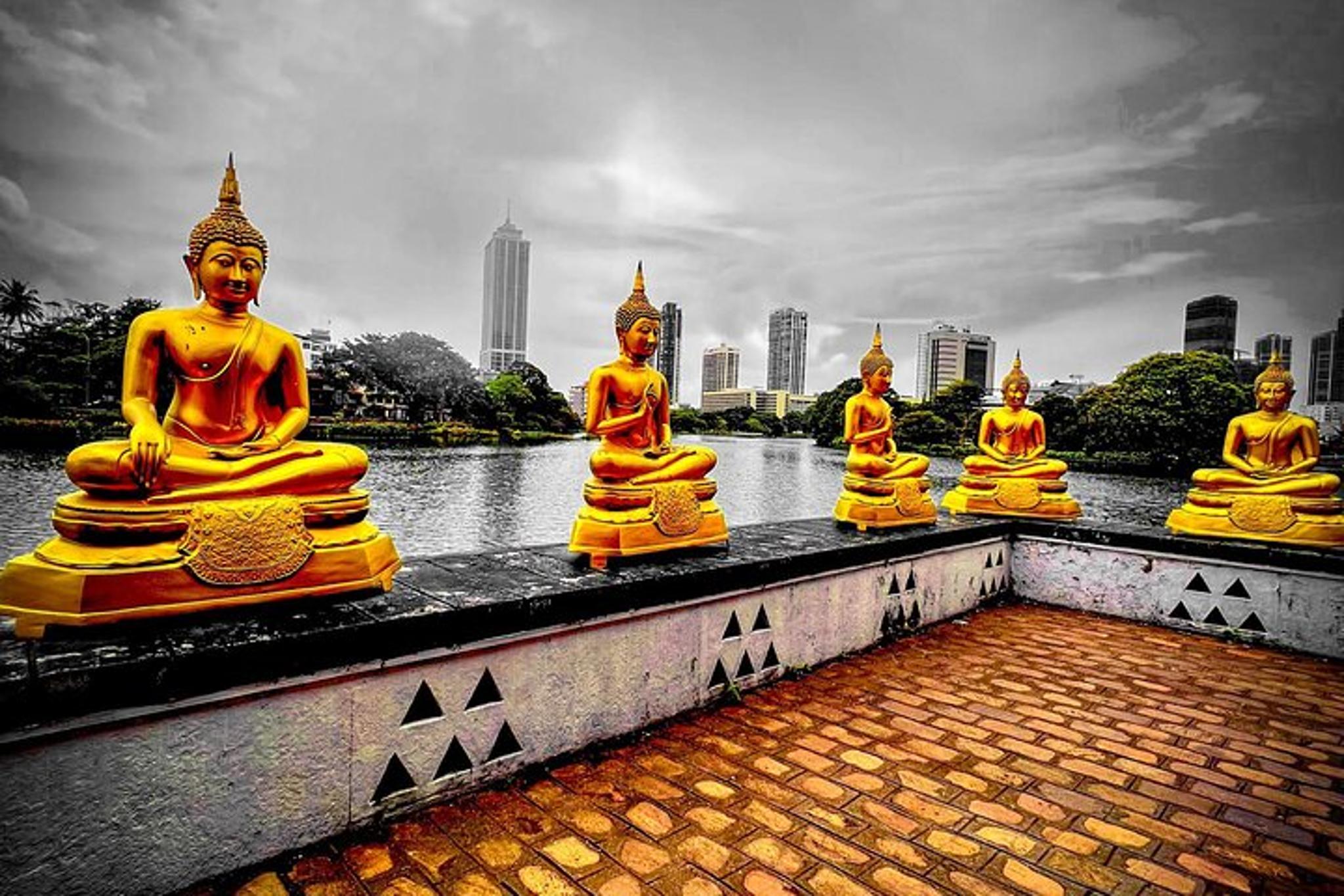 Colombo City Tour - Image 5