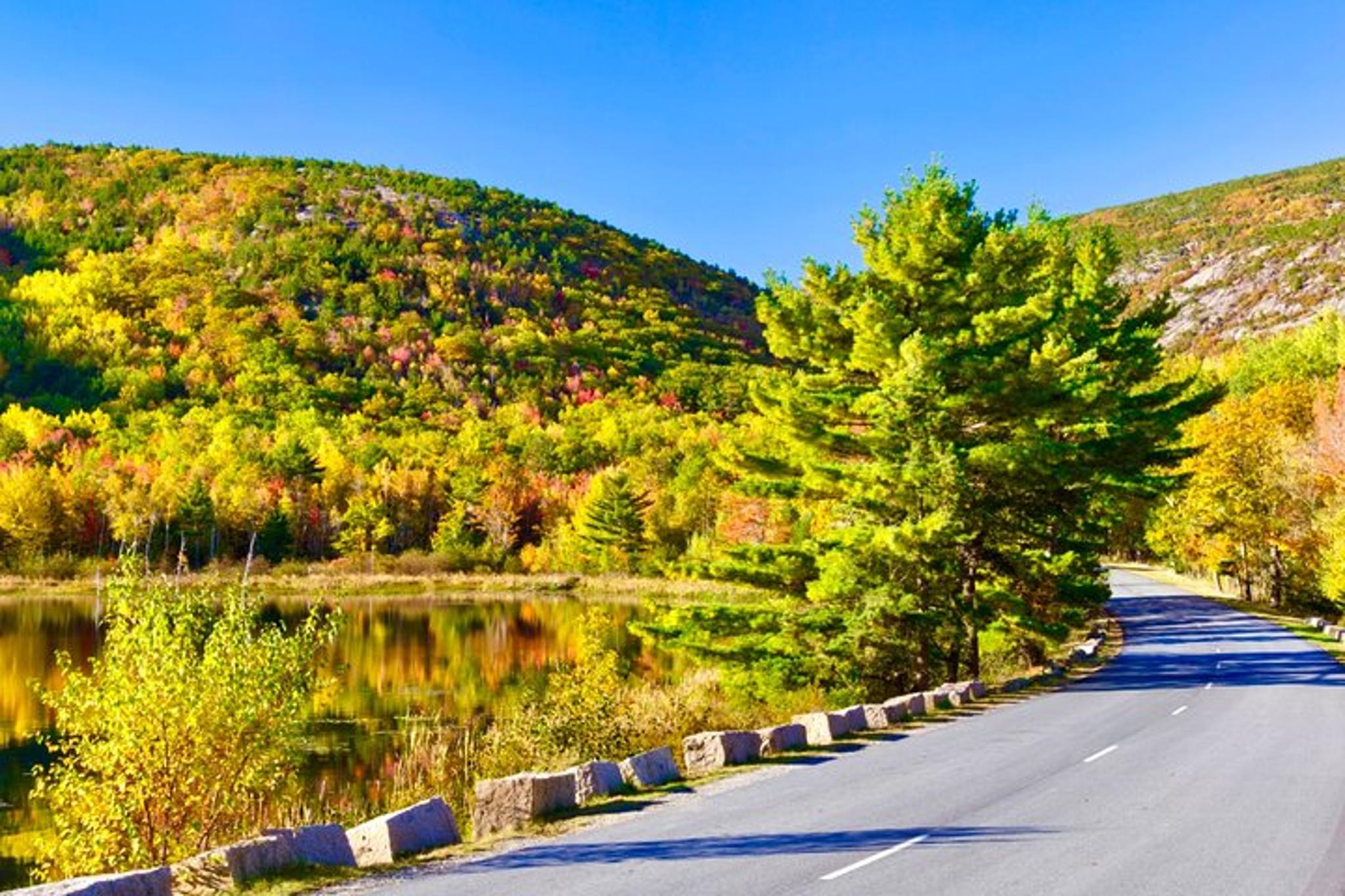Acadia National Park & Mount Desert Island Tour - Image 2