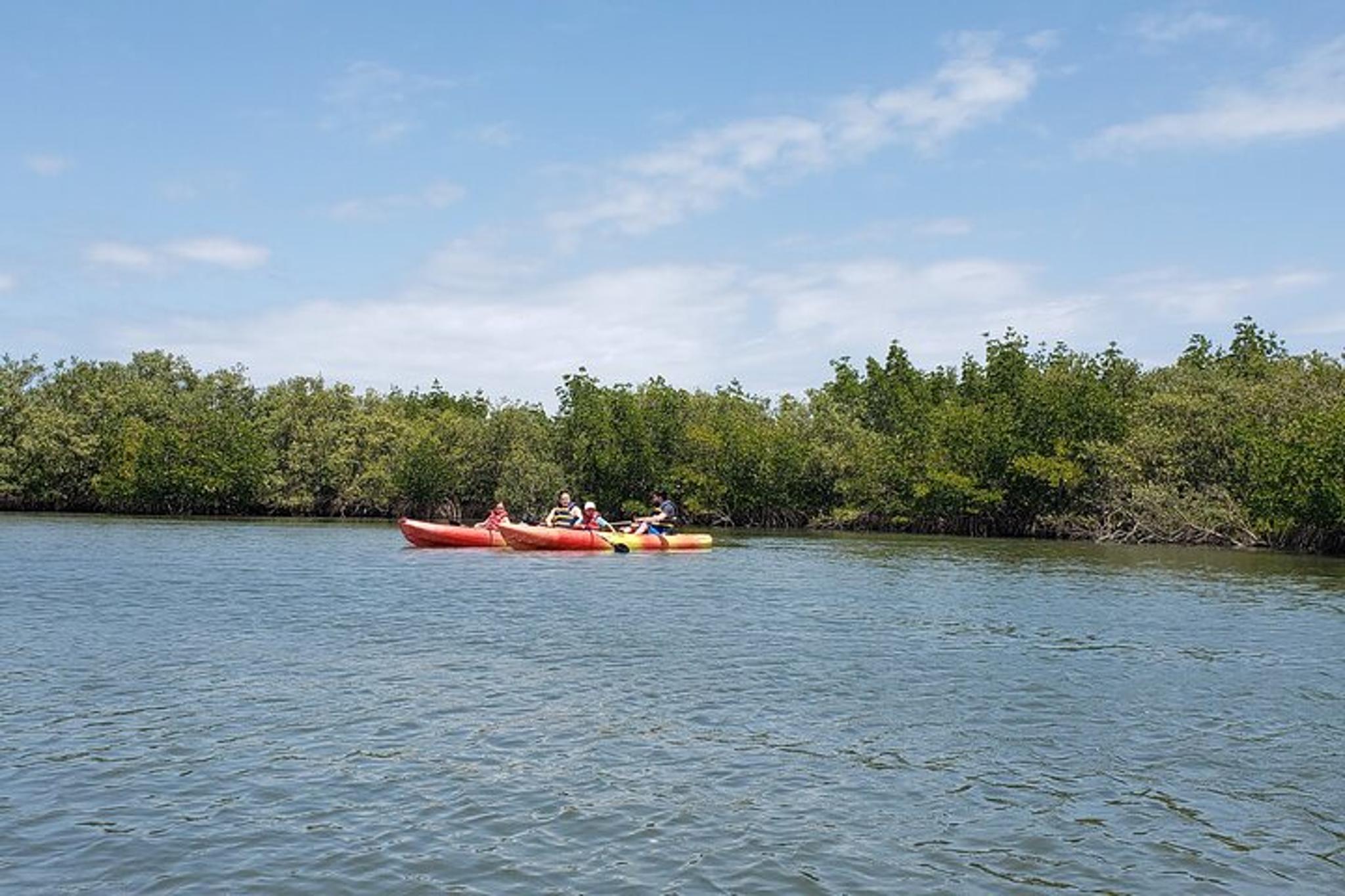 New Smyrna Beach Kayaking Ecotour - Image 2