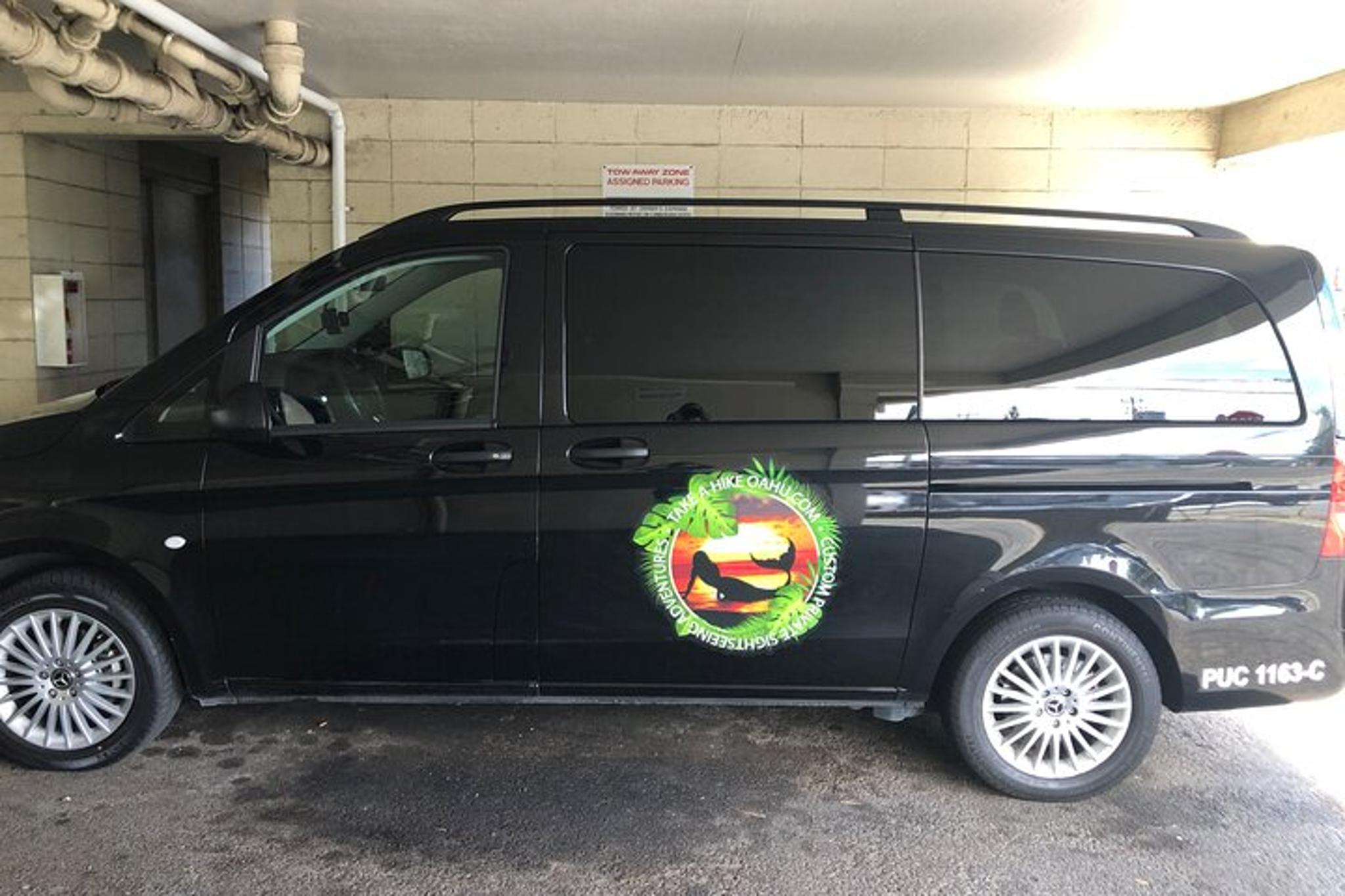 Oahu Swim with Turtles Tour - Image 2