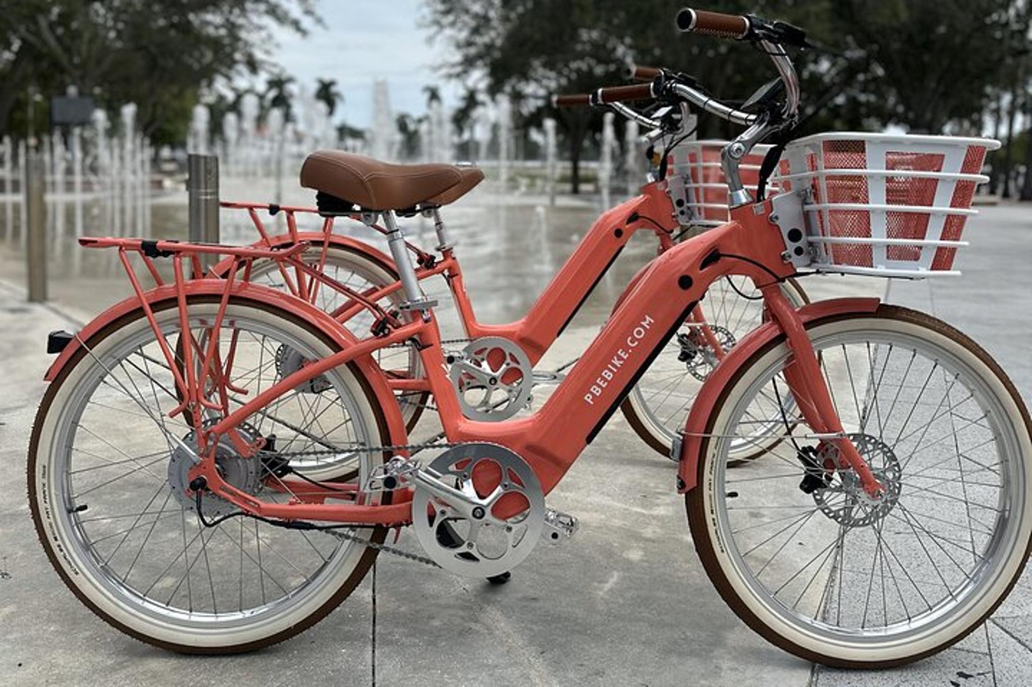 Palm Beach Guided Bicycle Tour - Image 5